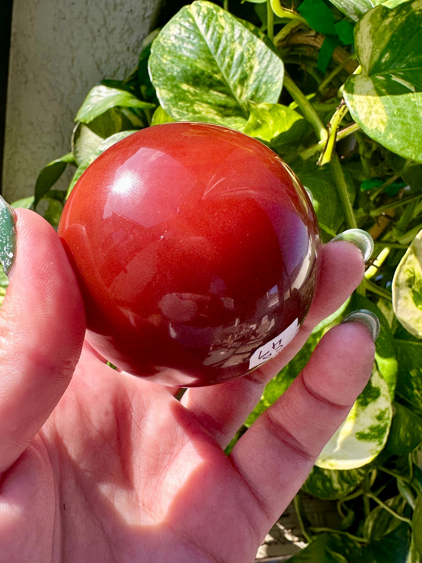 Beautiful Carnelian- Sphere 62mm