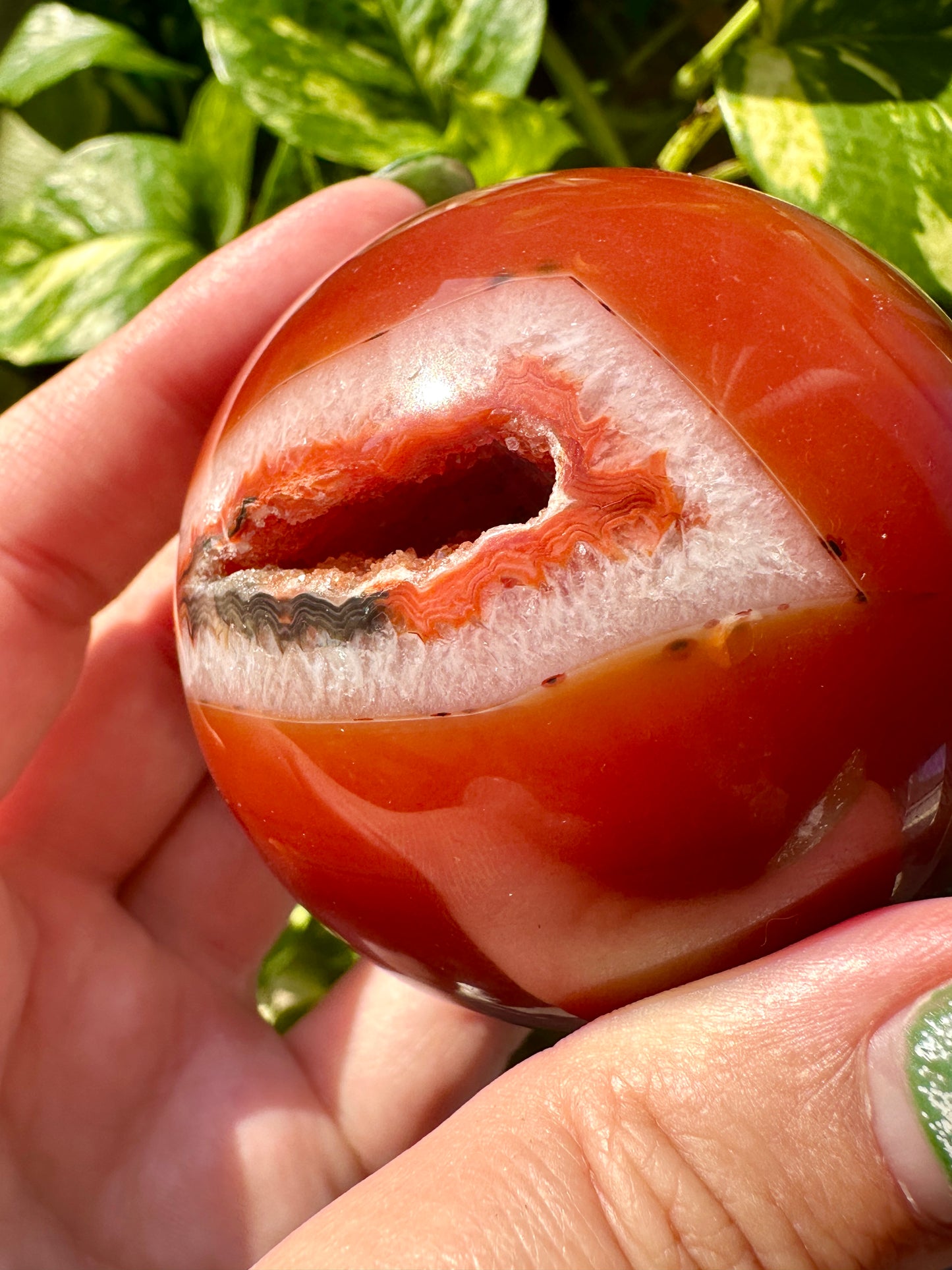 Beautiful Carnelian- Sphere 62mm