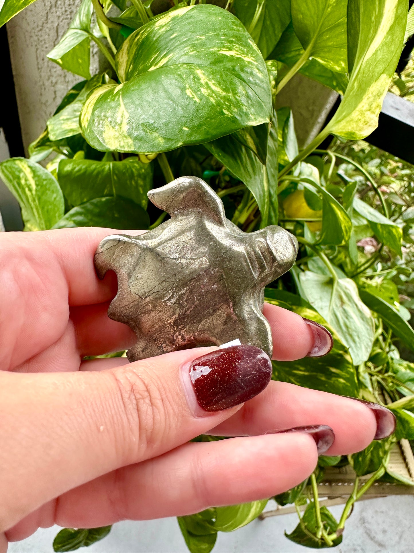 Pyrite - Turtle
