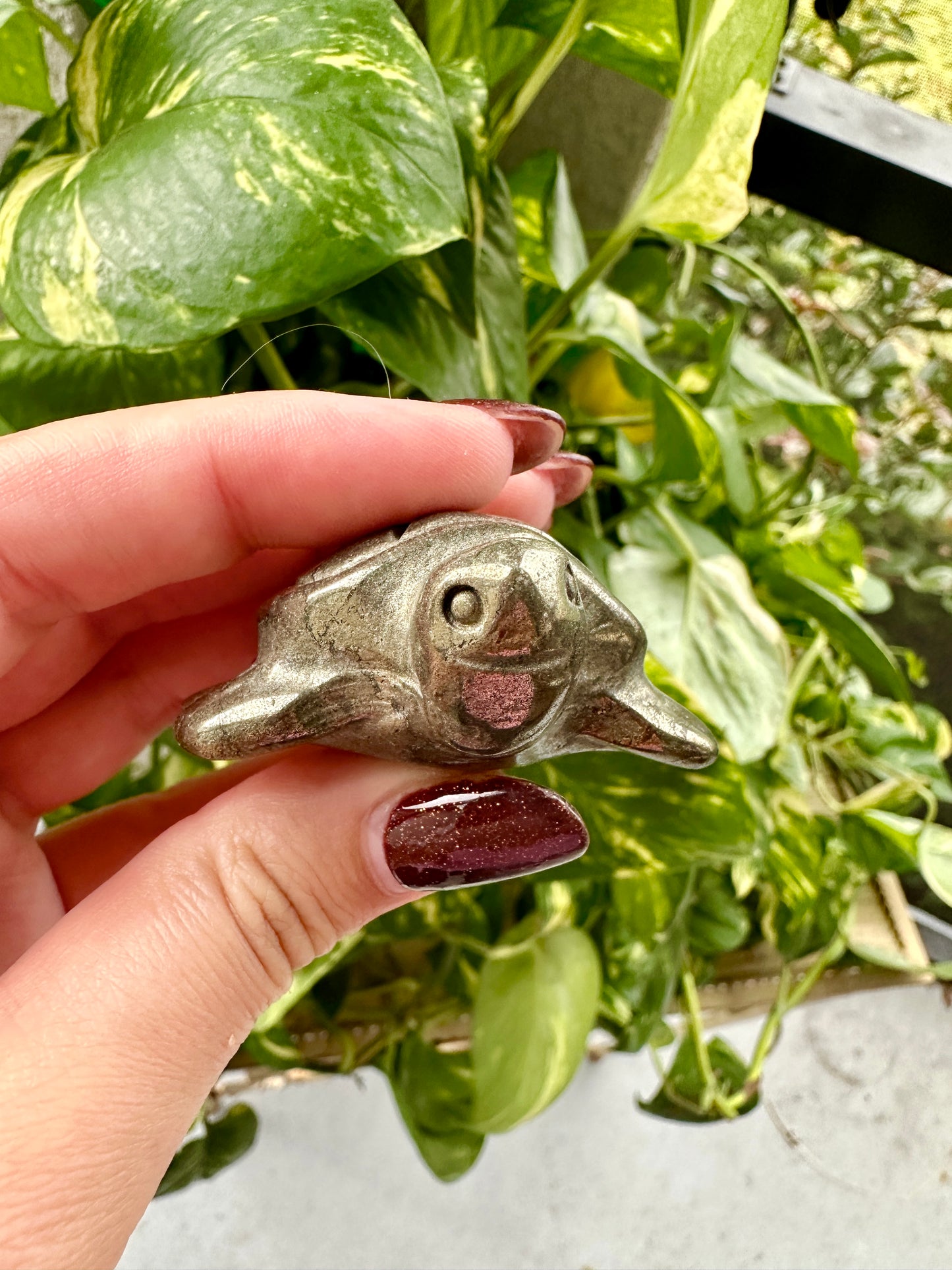 Pyrite - Turtle
