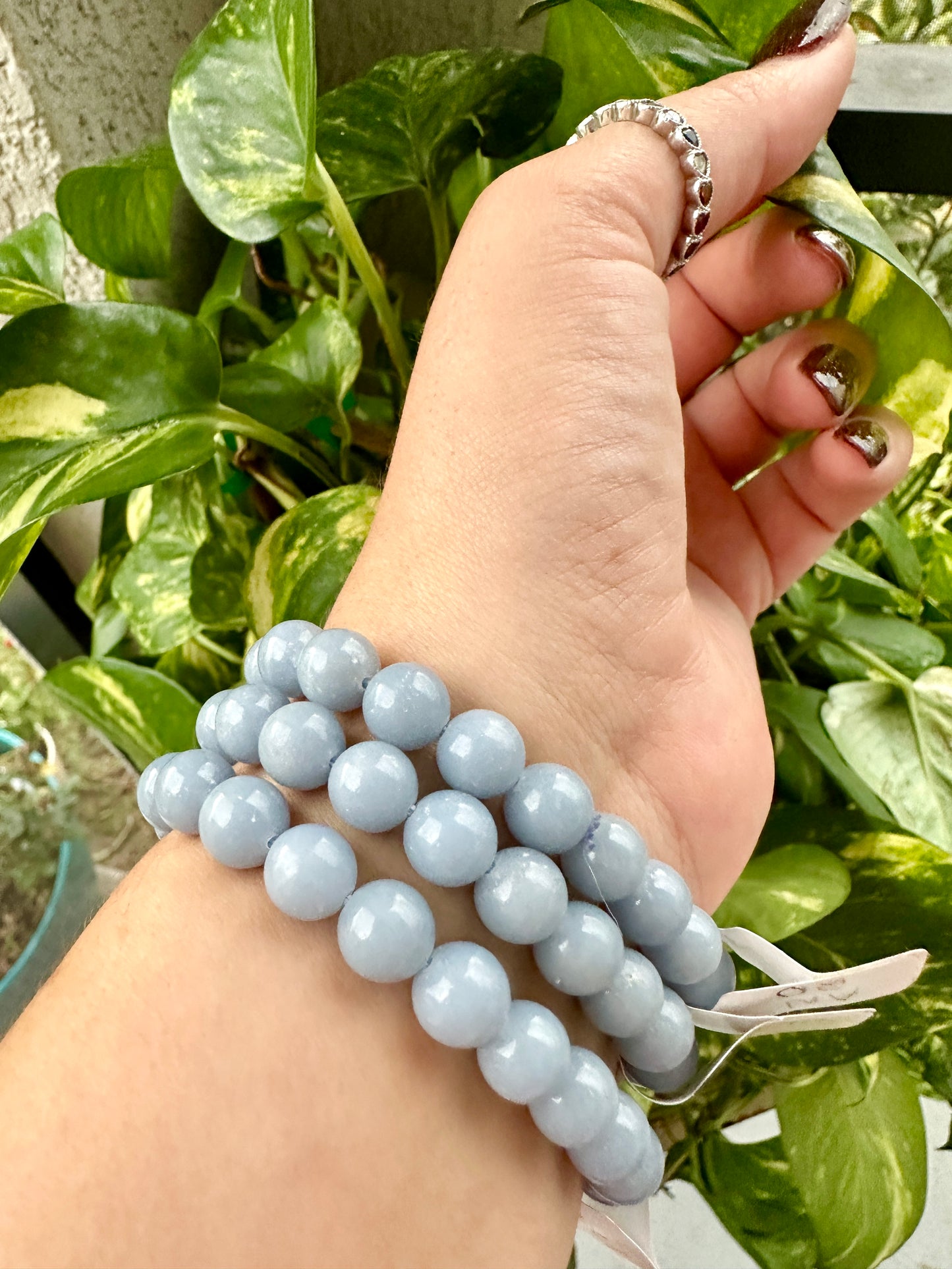 Angelite - Bracelet - 8mm