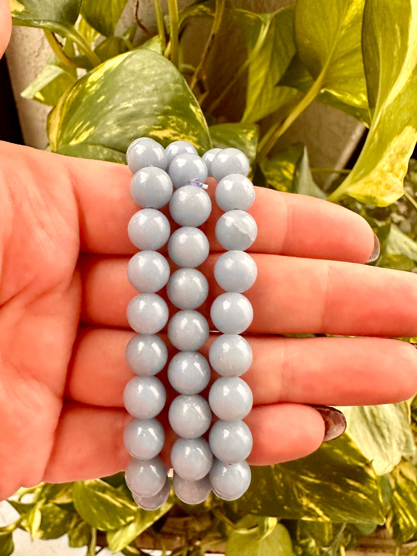 Angelite - Bracelet - 8mm