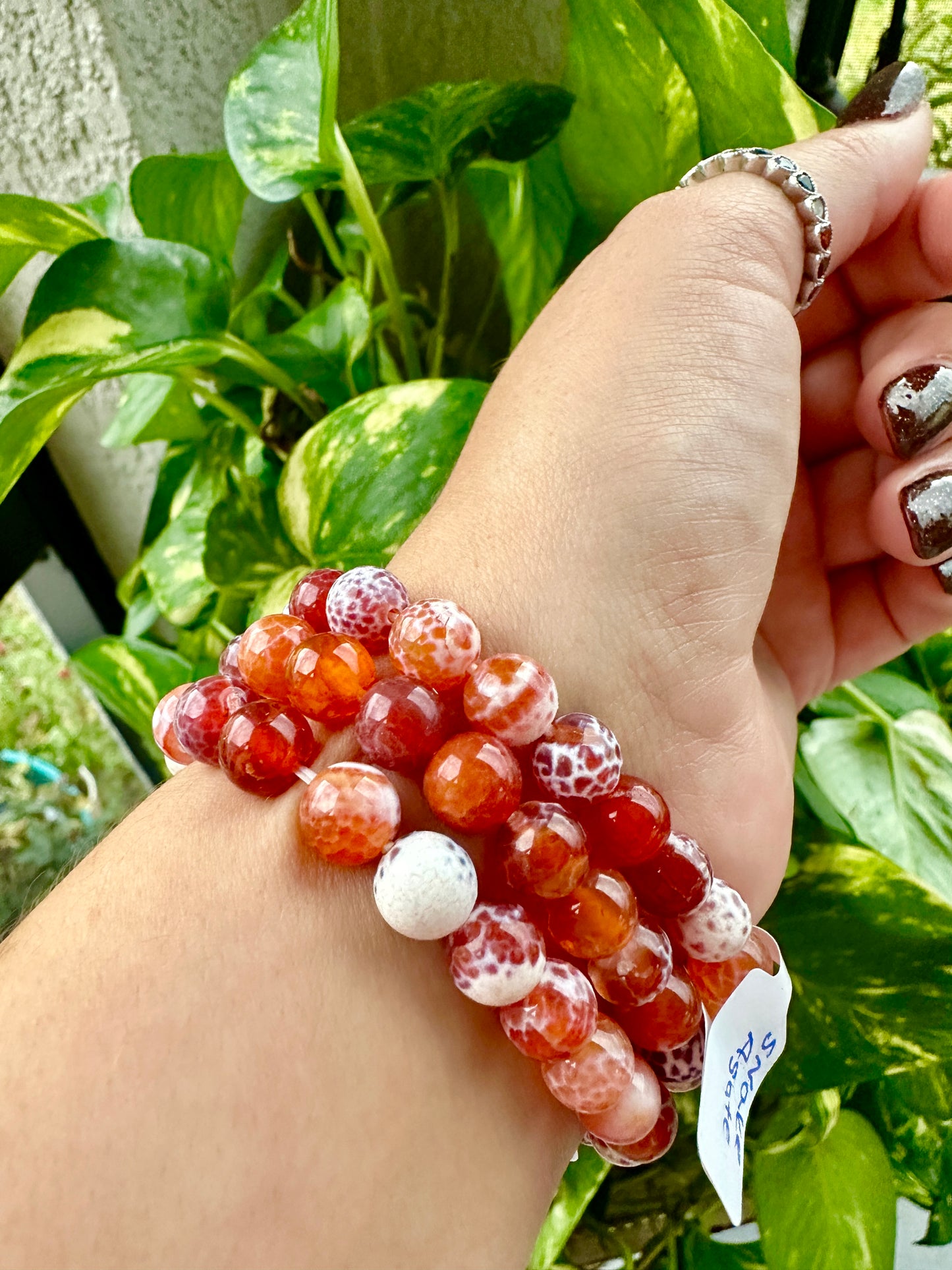 Snake Agate - Bracelet - 8mm
