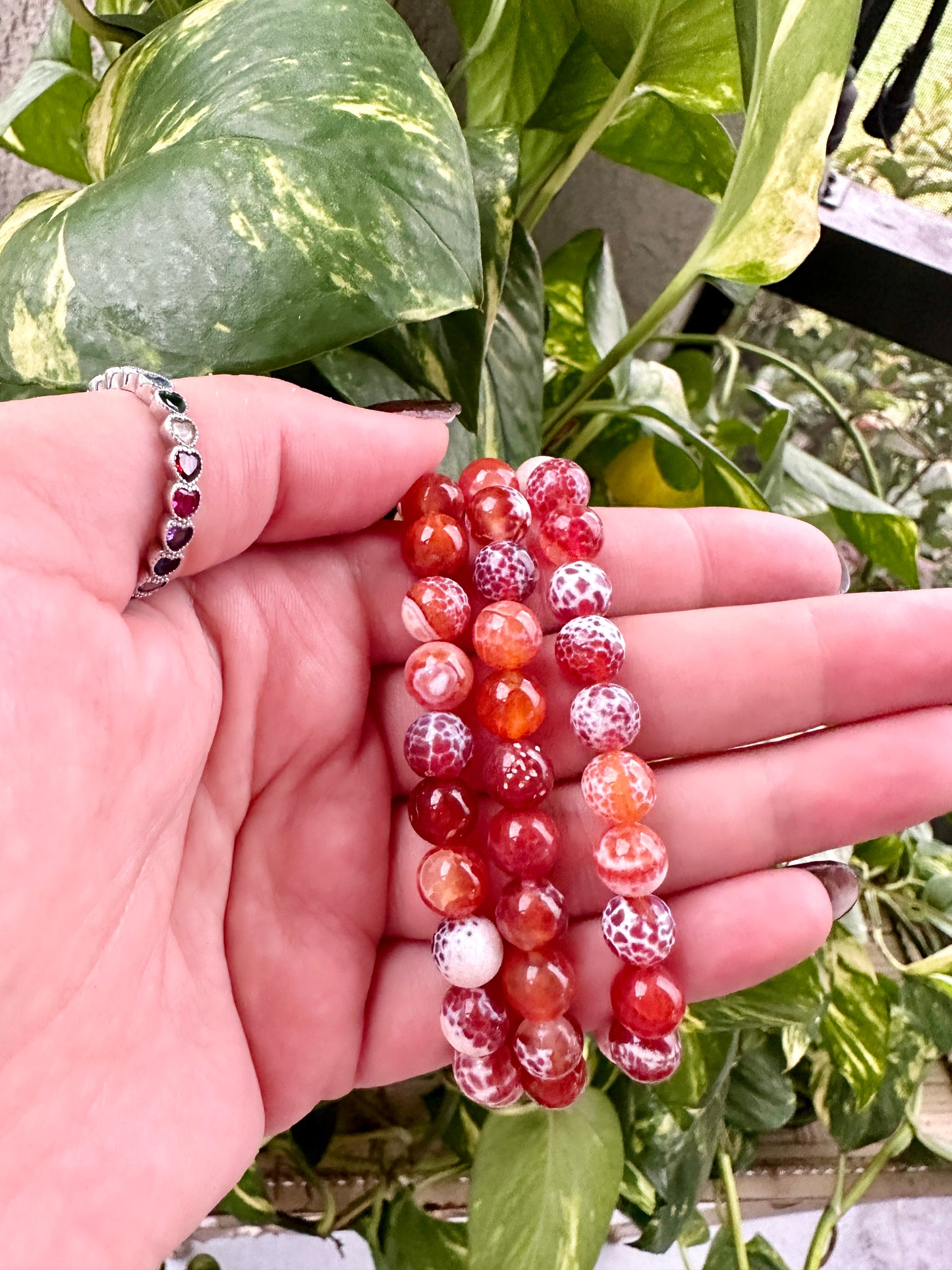 Snake Agate - Bracelet - 8mm
