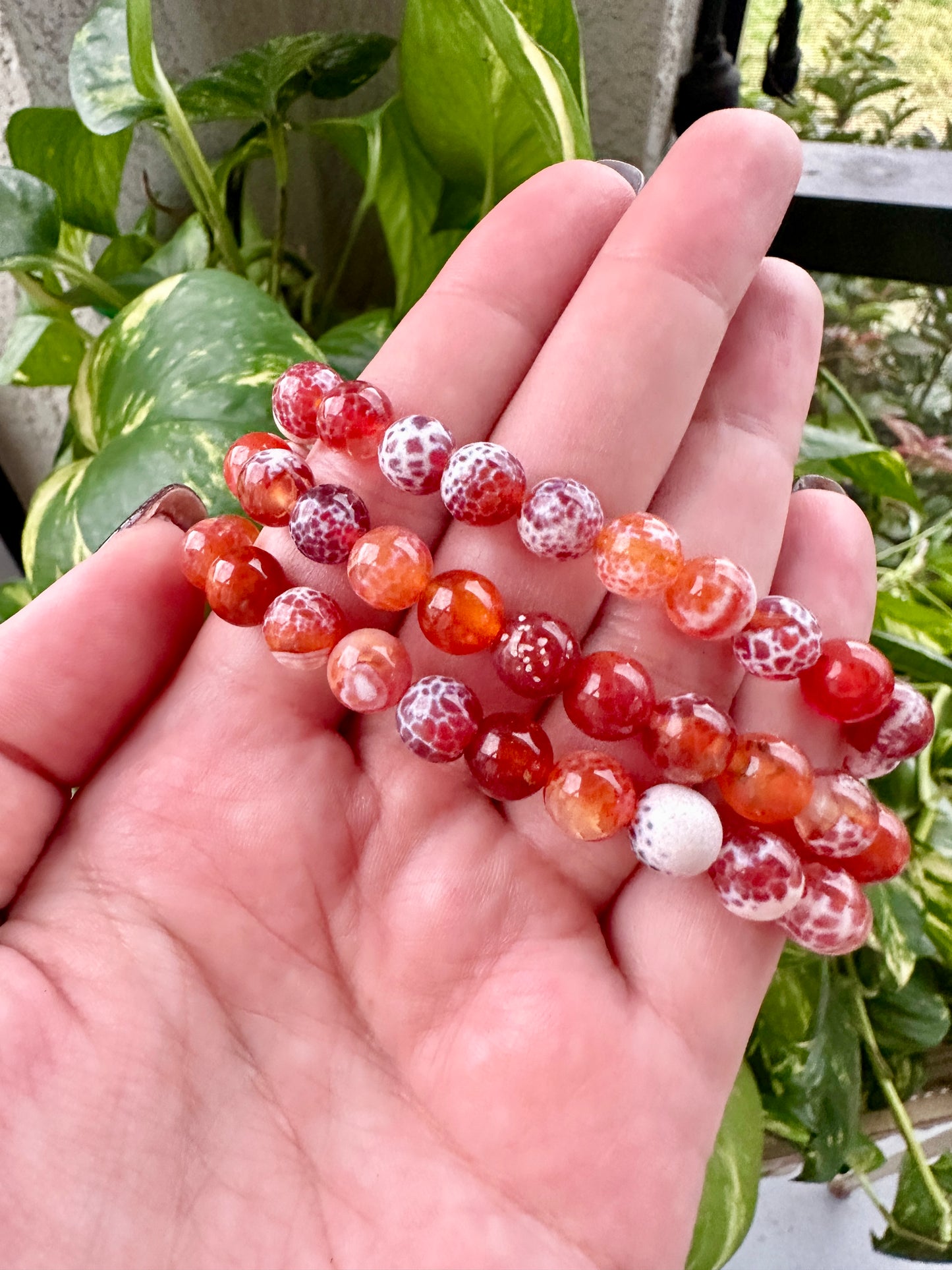 Snake Agate - Bracelet - 8mm