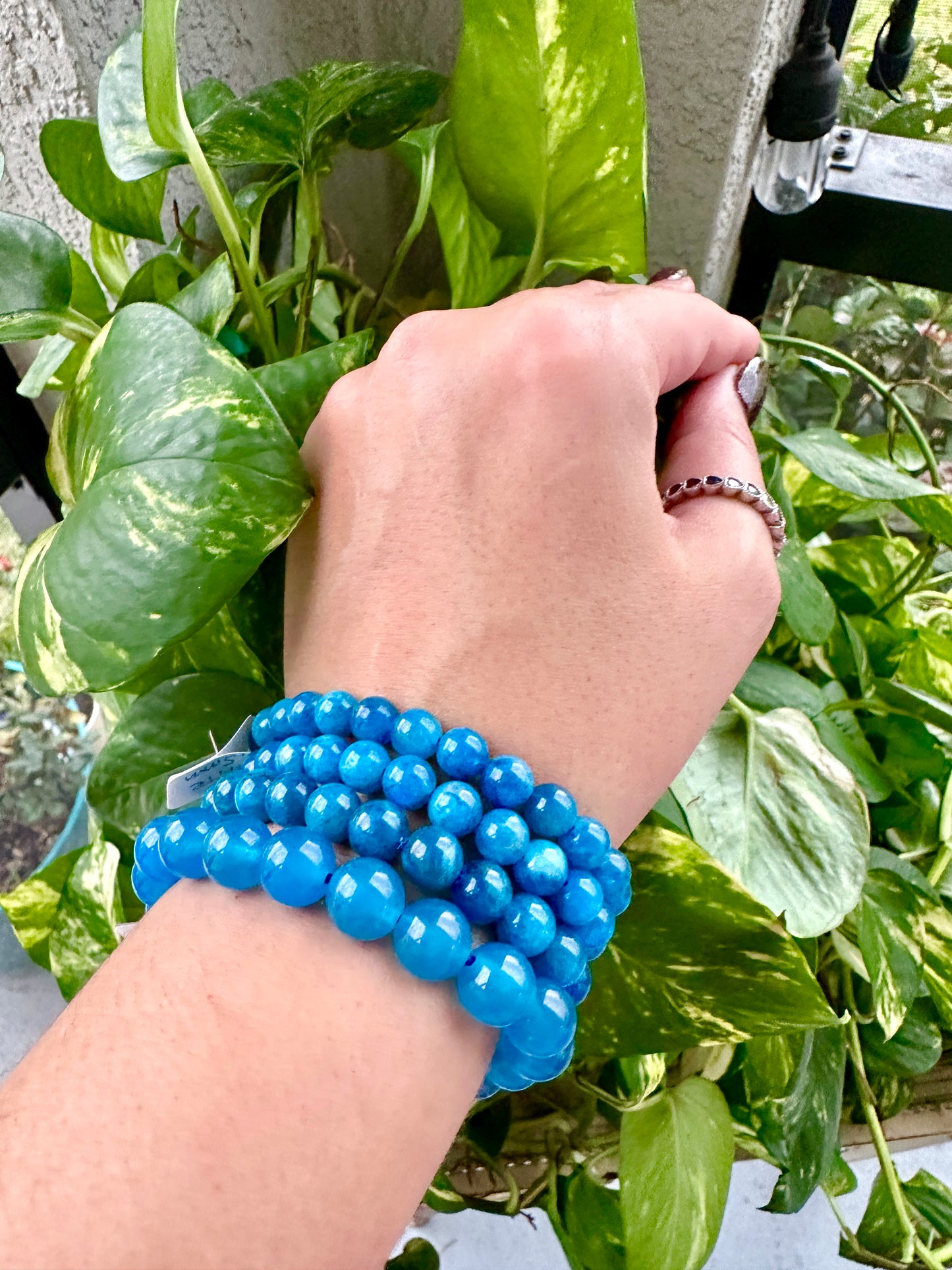 Apatite - Bracelet - 7mm