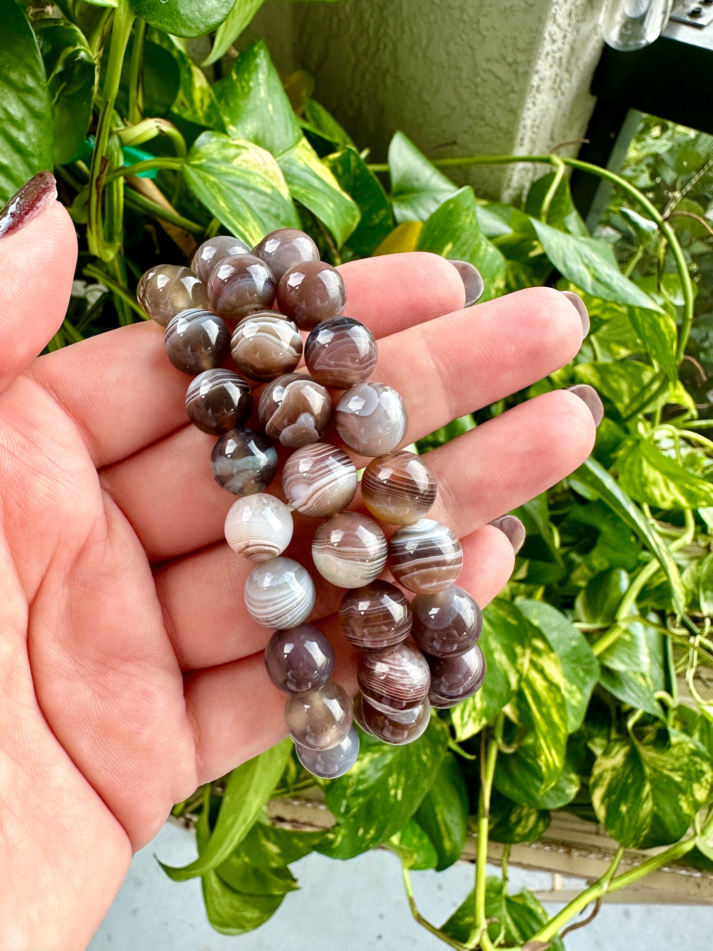 Bostwana Agate - Bracelet