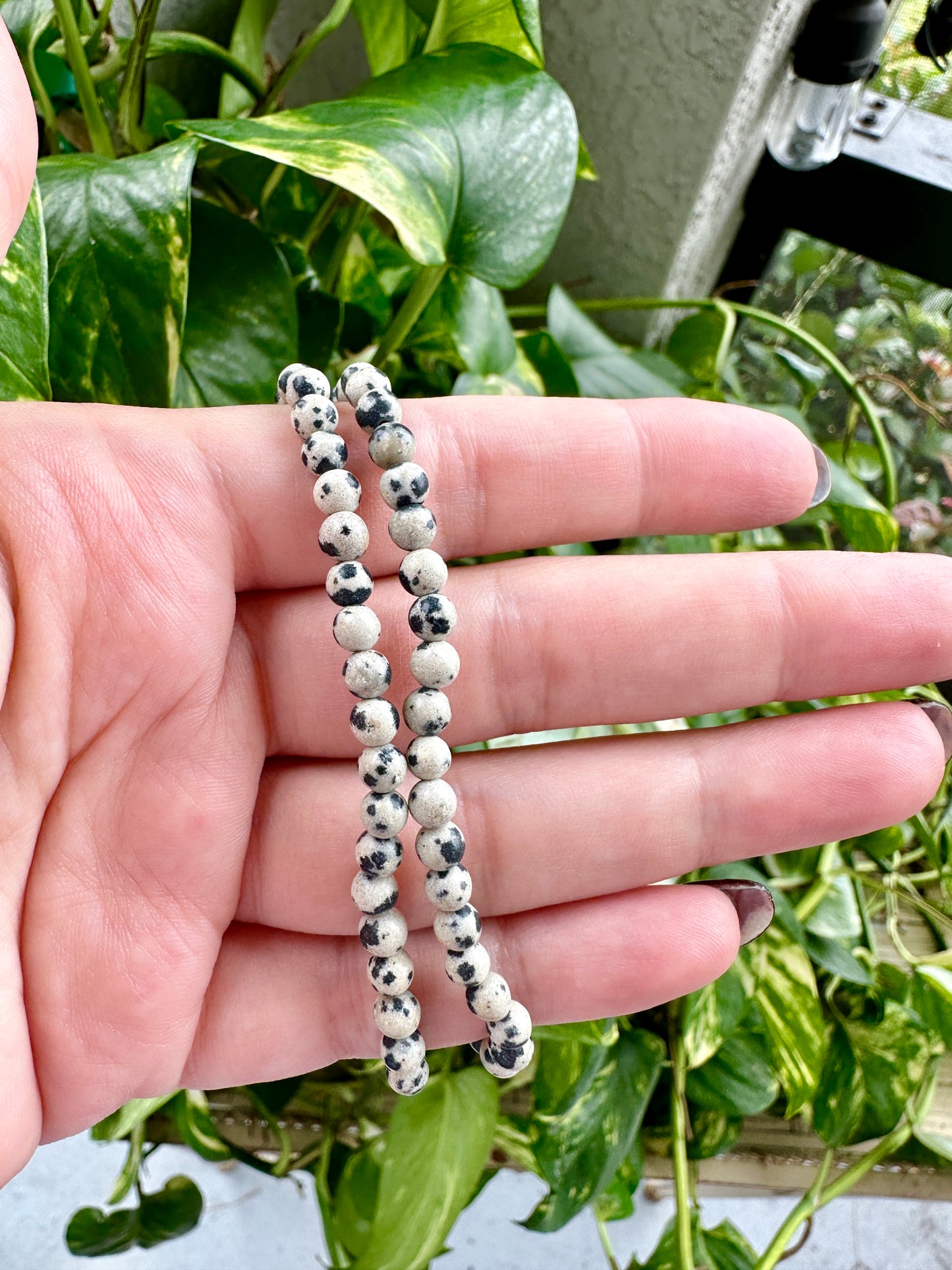 Dalmatian Jasper Bracelet 4mm Beads - Playful Protection and Grounding Energy, Perfect for Joy and Emotional Balance