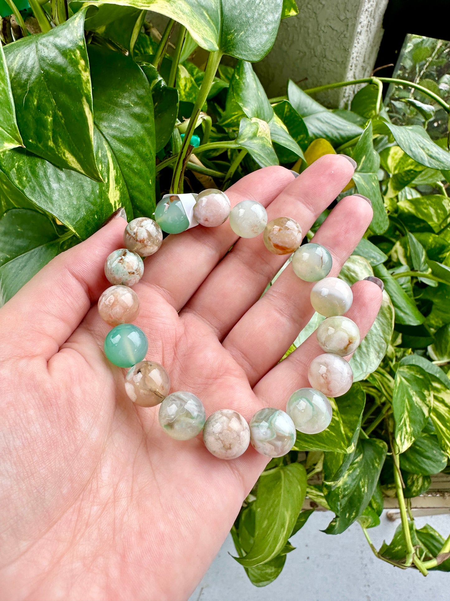 Green Flower Agate - Bracelet - 12mm
