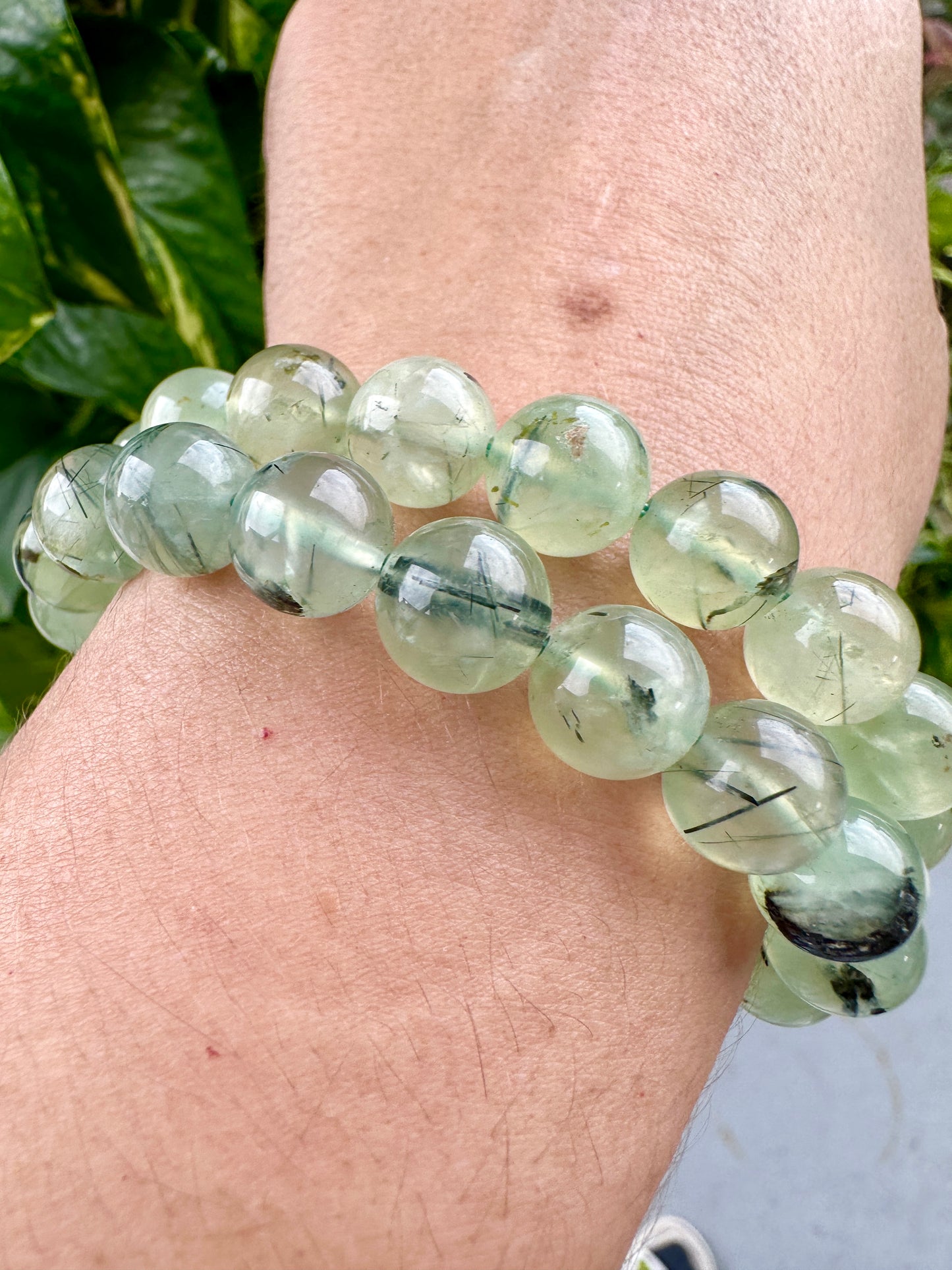 Prehnite - Bracelet - 10mm