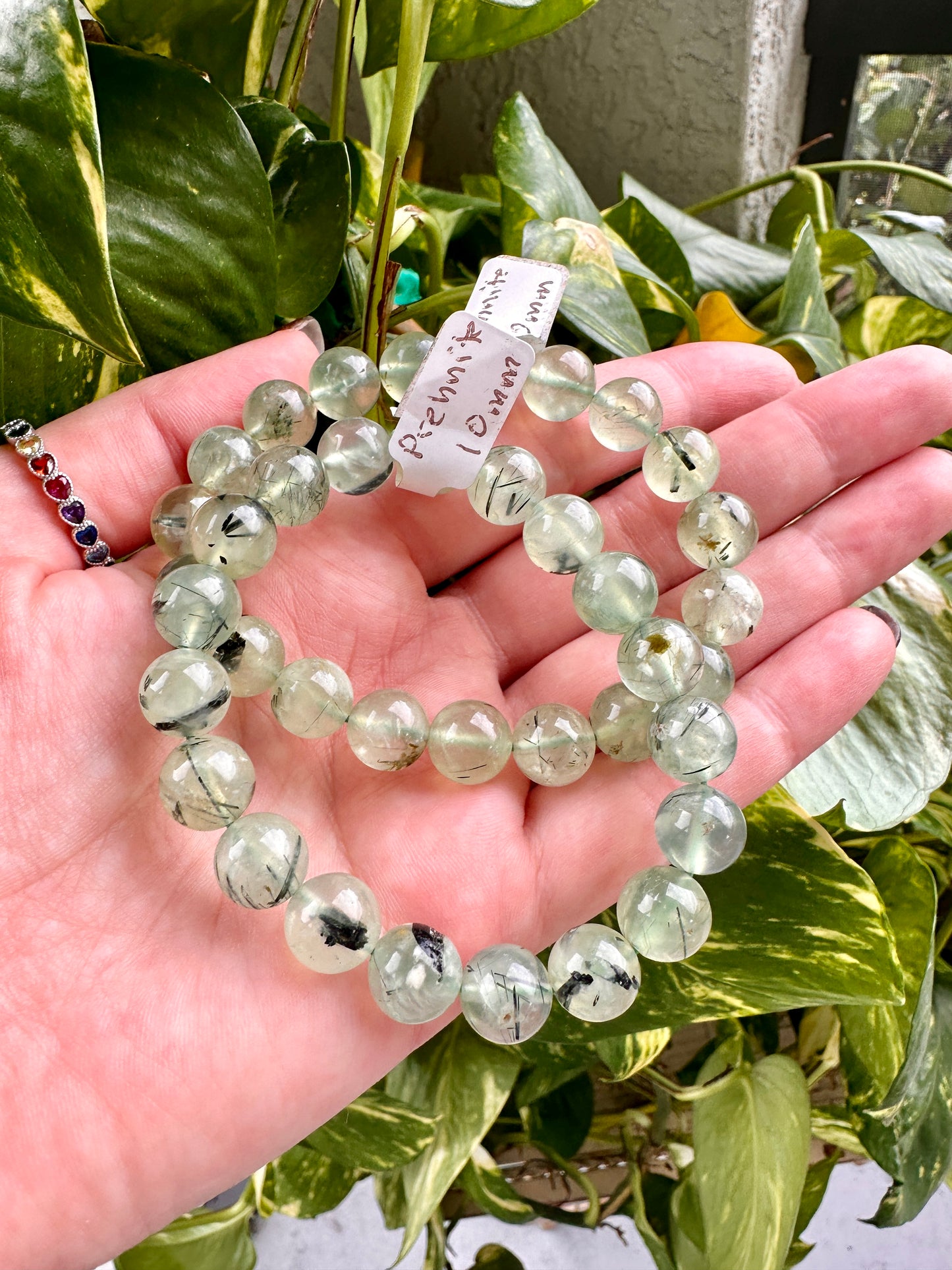 Prehnite - Bracelet - 10mm