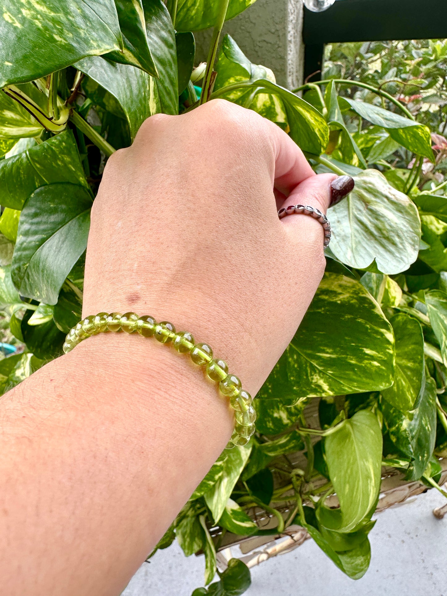 Prehnite - Bracelet - 5mm
