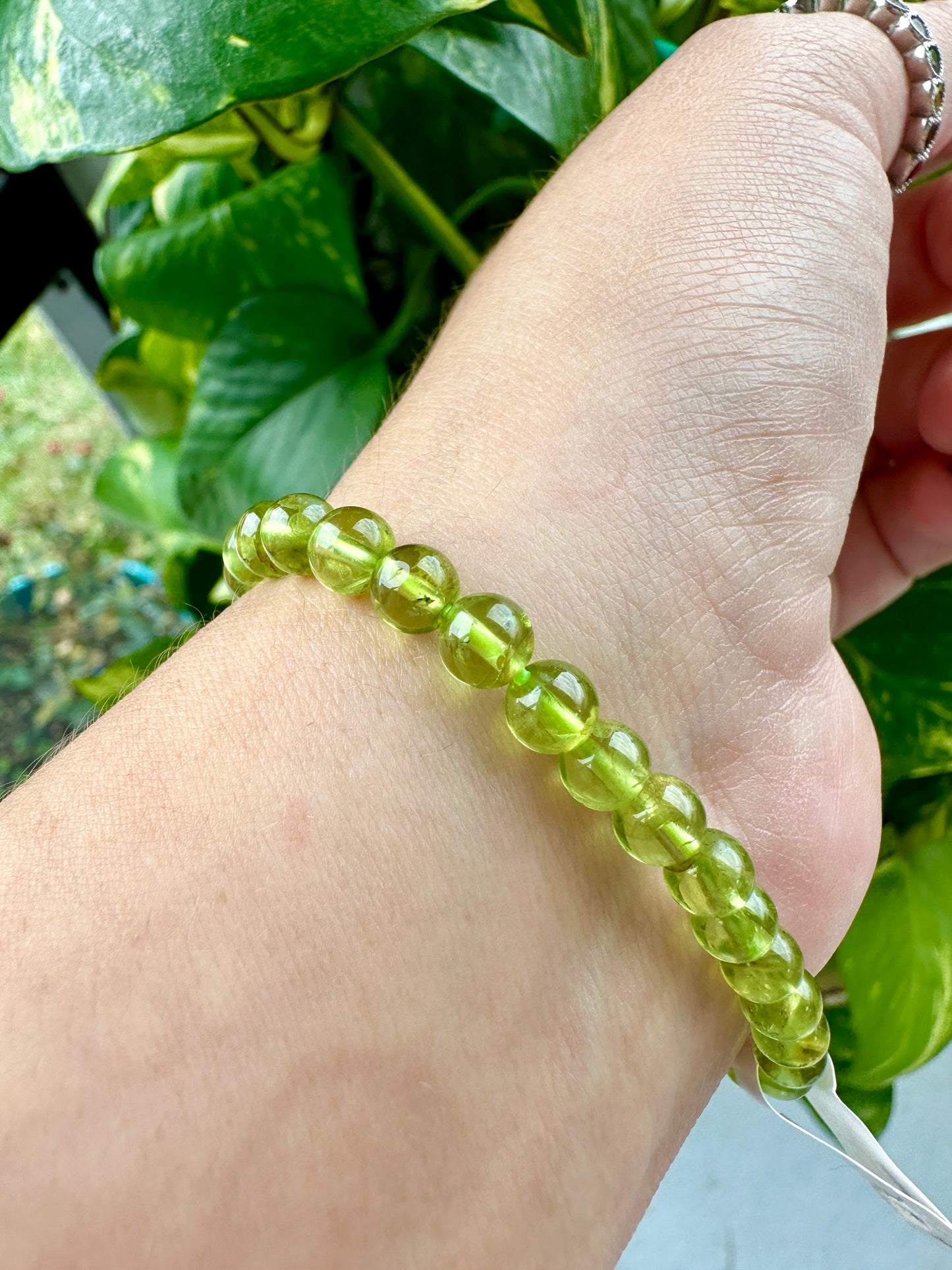Prehnite - Bracelet - 5mm