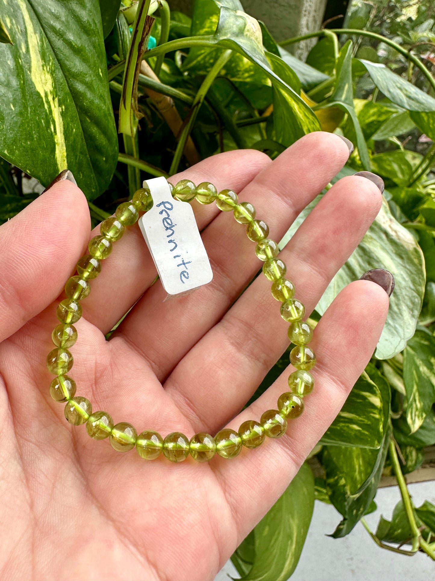 Prehnite - Bracelet - 5mm