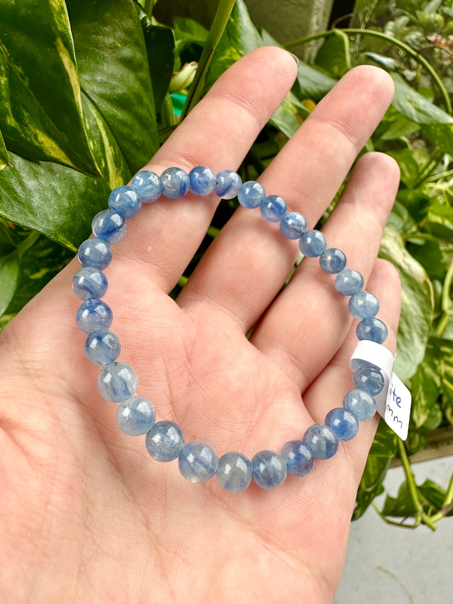 Kyanite - Bracelet - 6mm