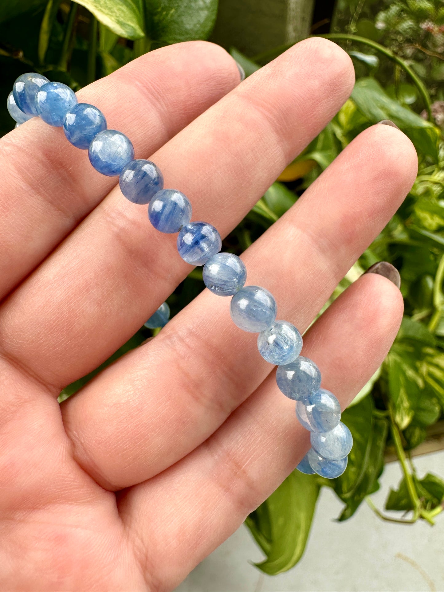 Kyanite - Bracelet - 6mm