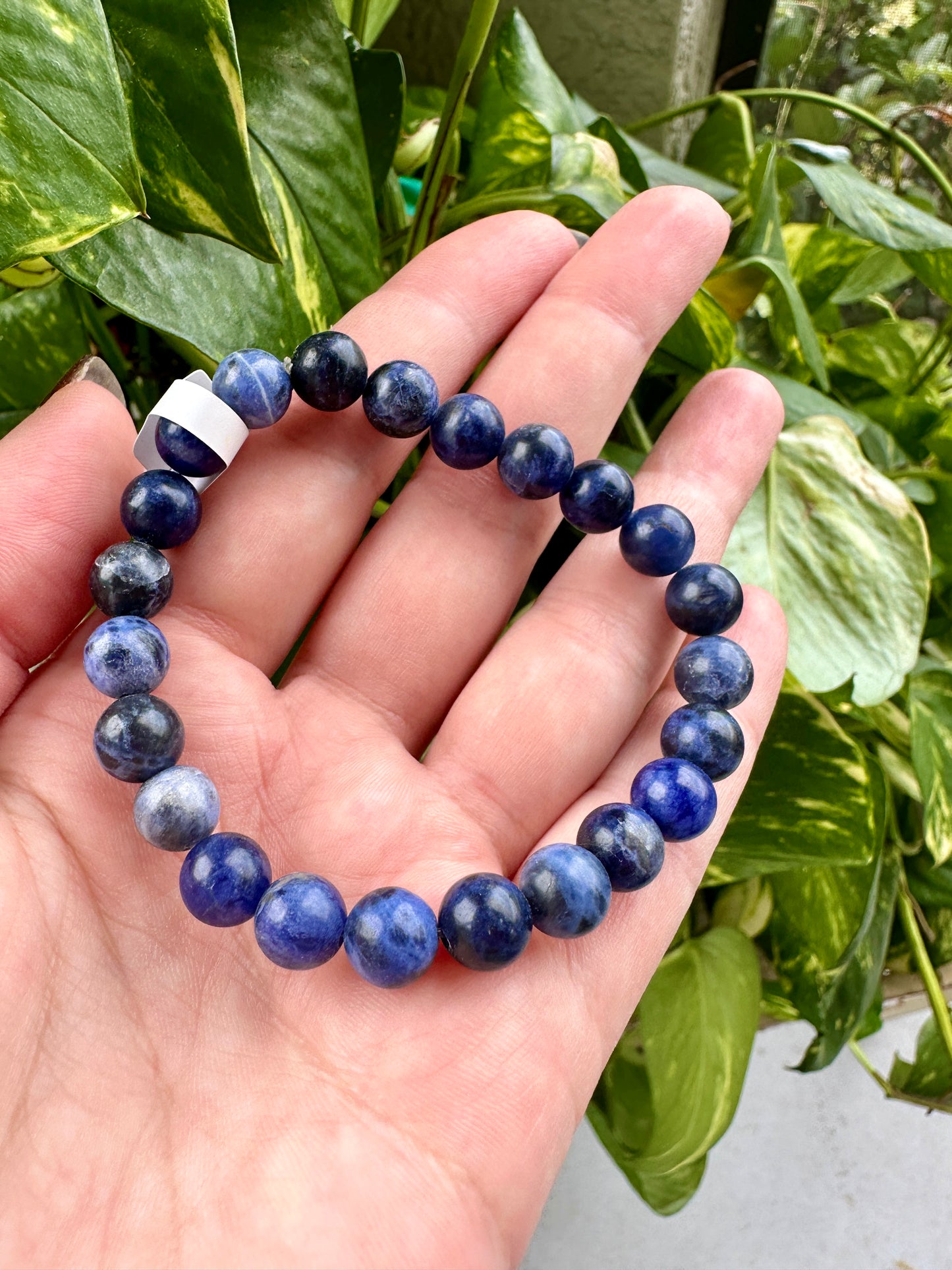 Sodalite - Bracelet - 8mm