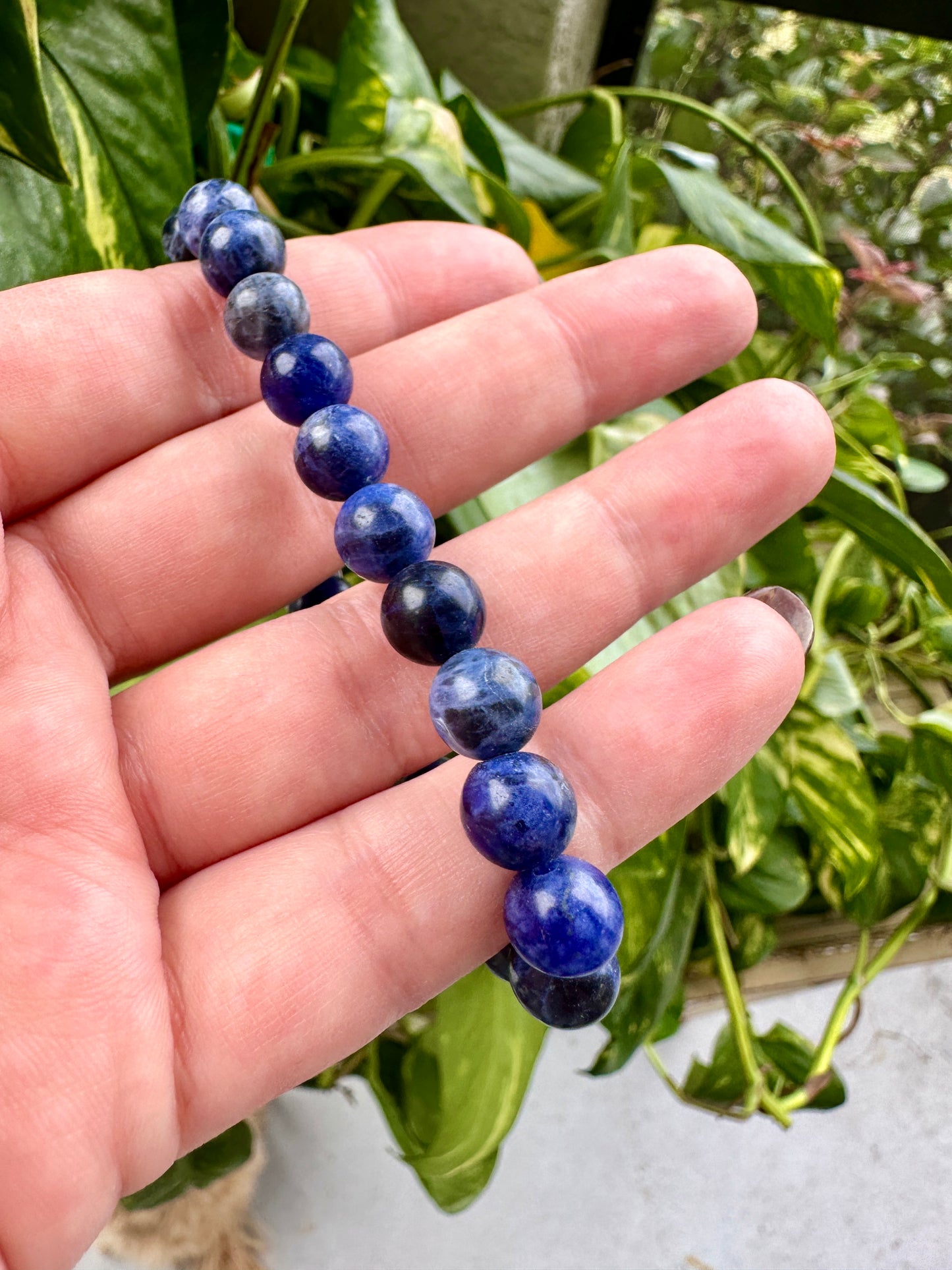 Sodalite - Bracelet - 8mm