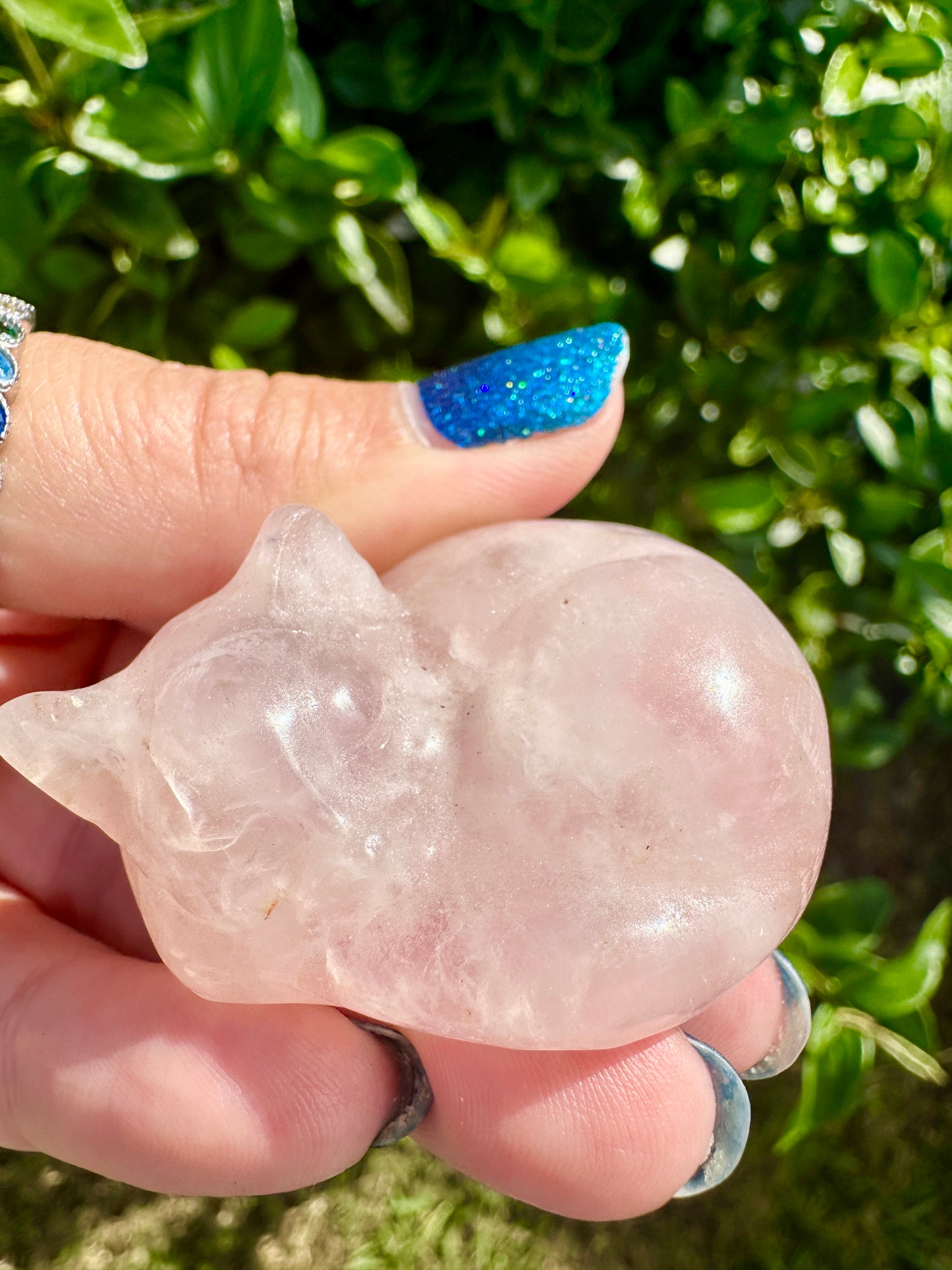 Rose Quartz - Sleeping Cat