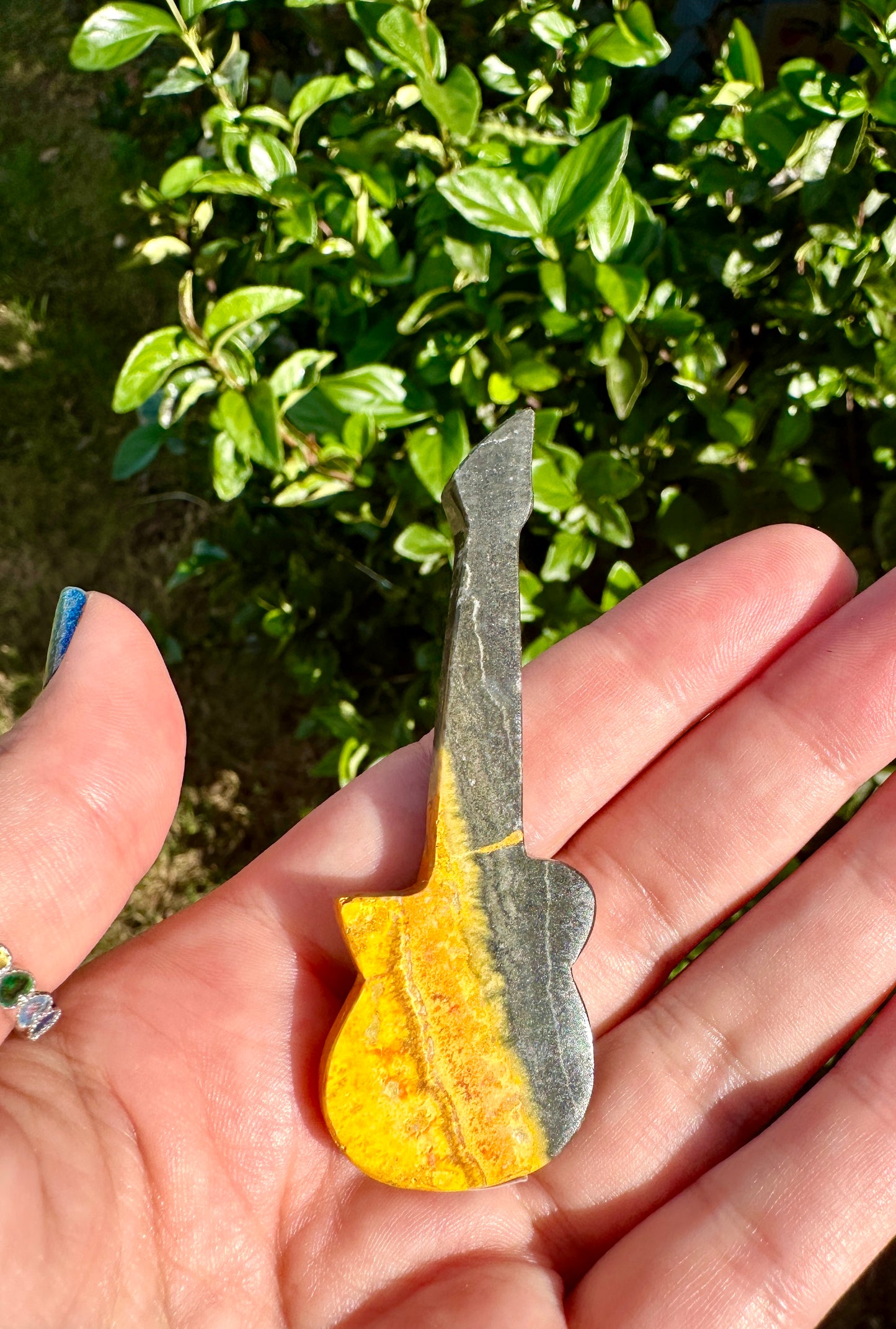 Bumble Bee Jasper - Guitar 🎸