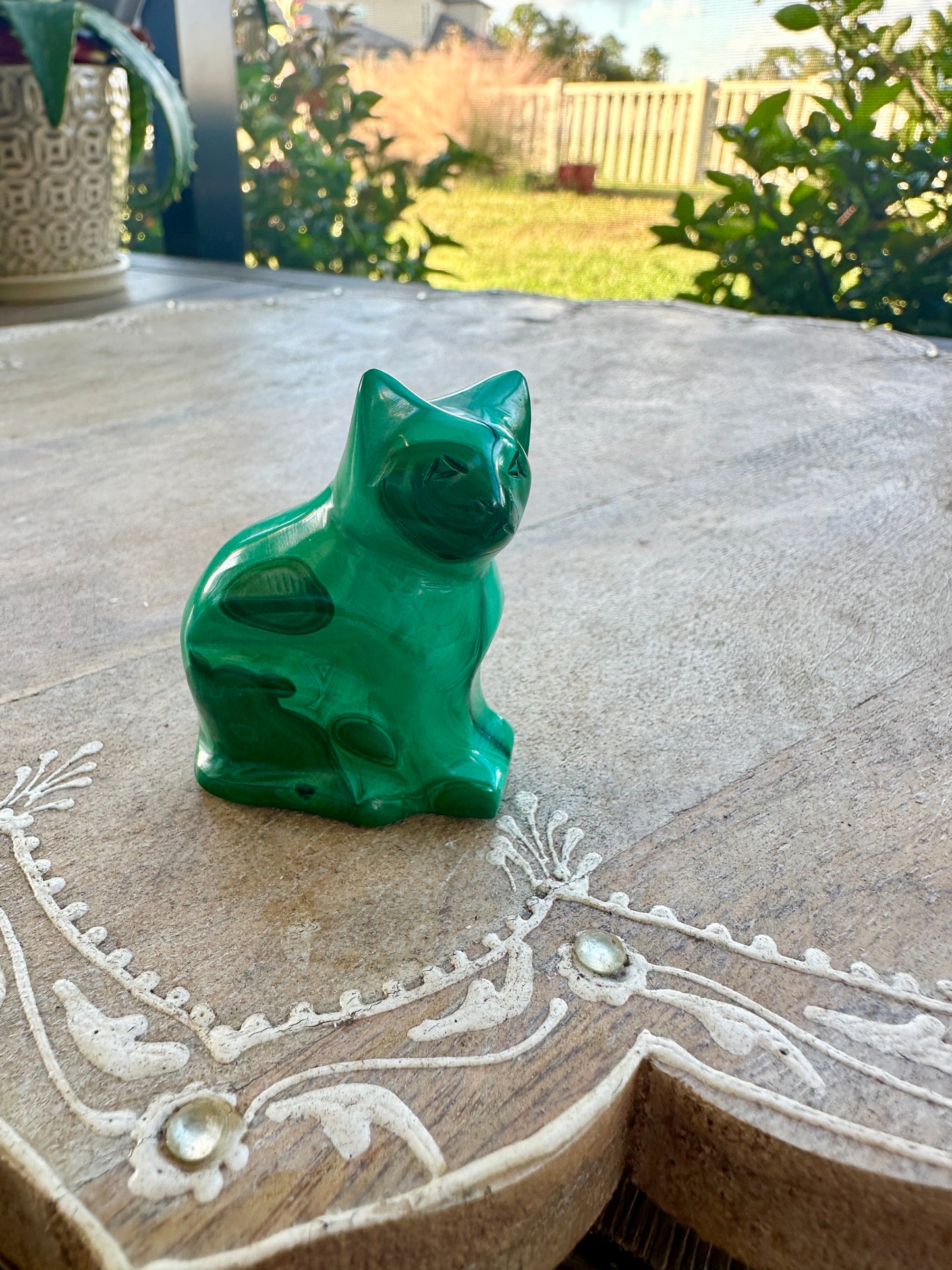 Malachite - Cat