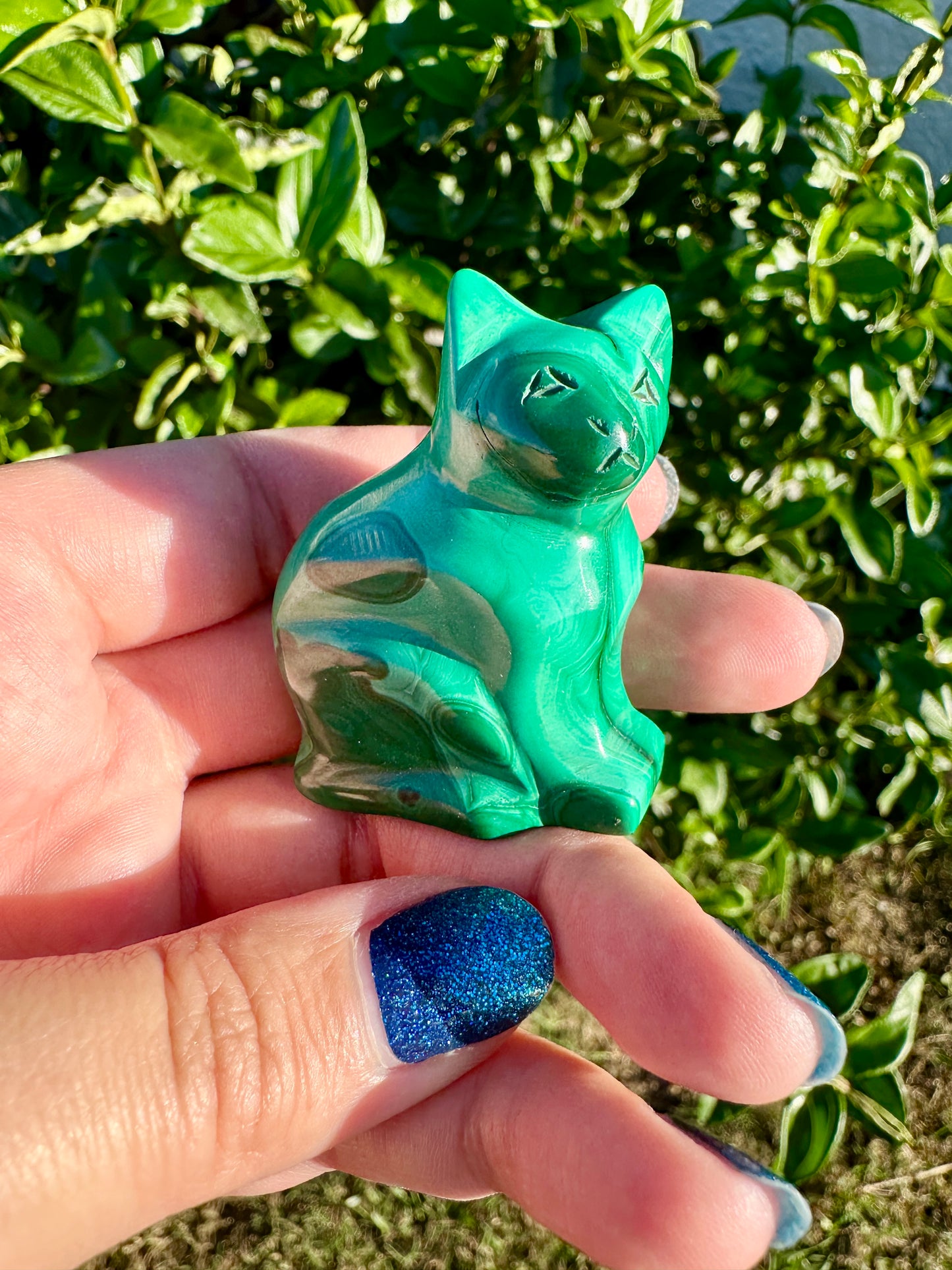 Malachite - Cat