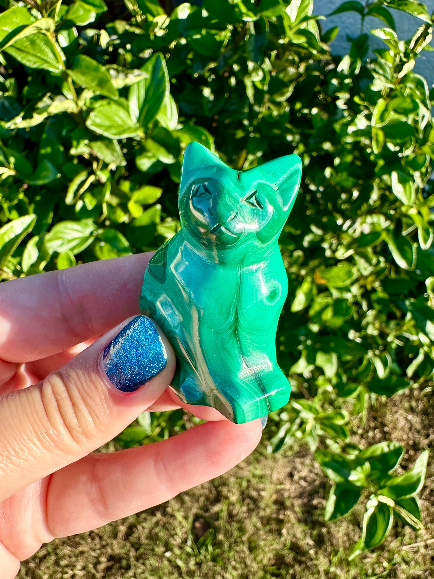 Malachite - Cat
