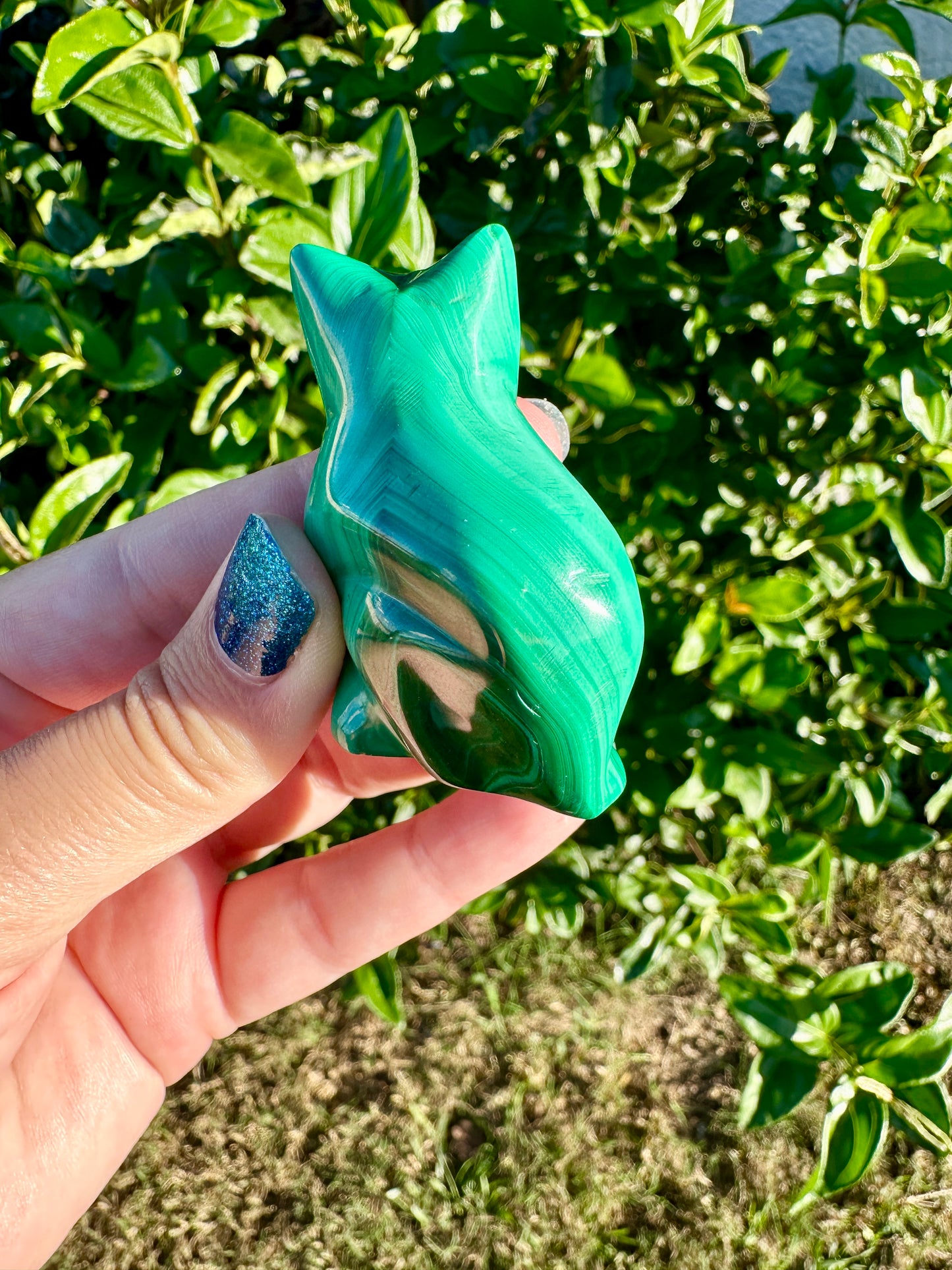Malachite - Cat