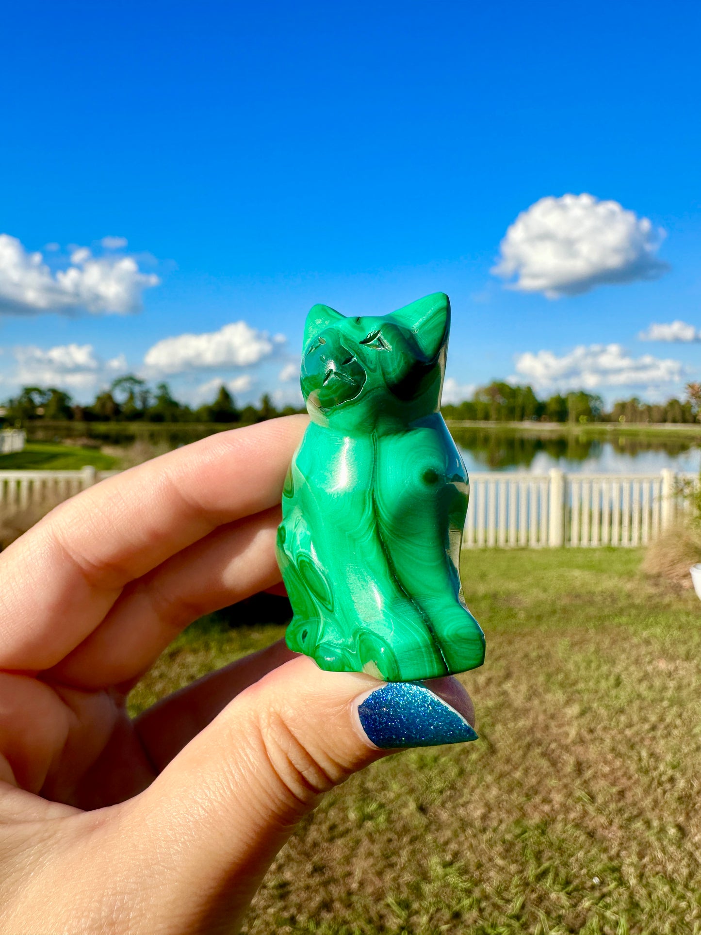 Malachite - Cat