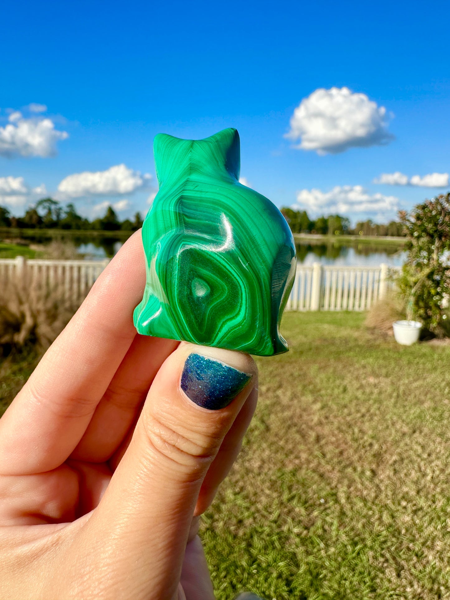 Malachite - Cat
