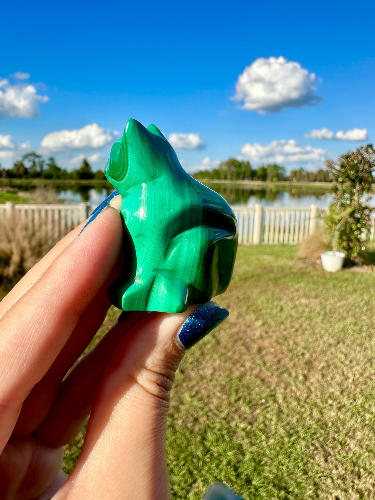 Malachite - Cat