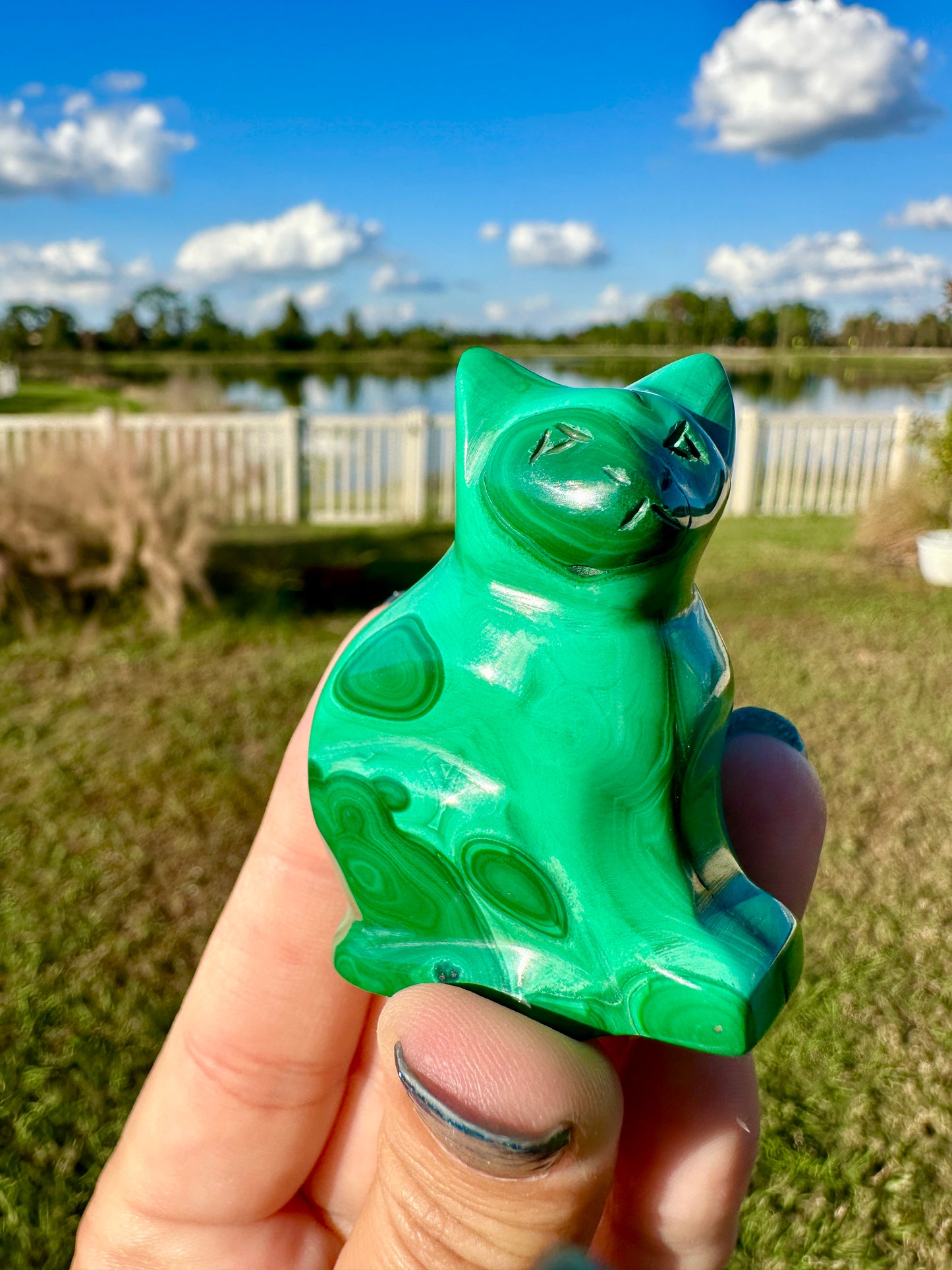 Malachite - Cat