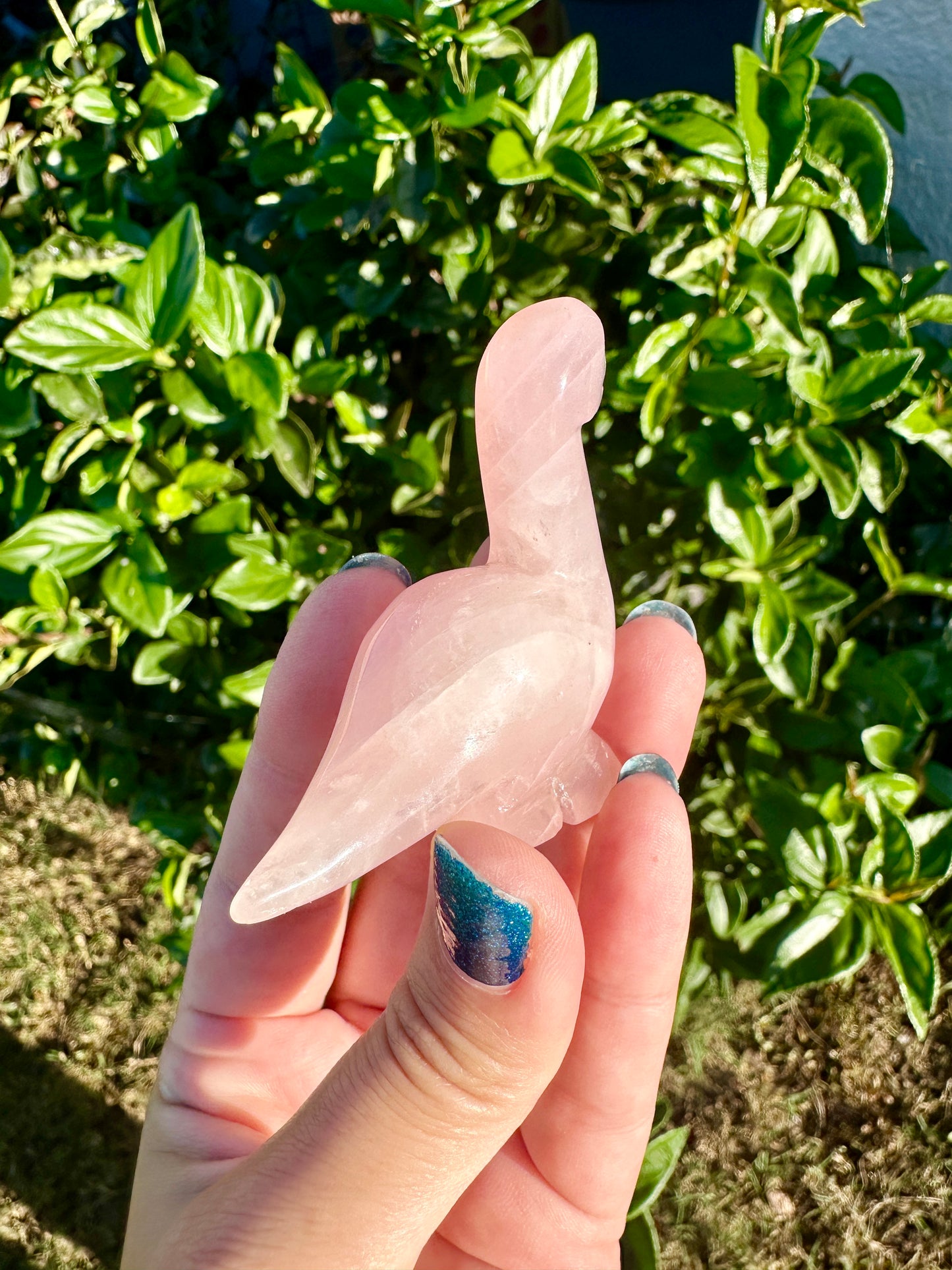 Rose Quartz - Dinosaur