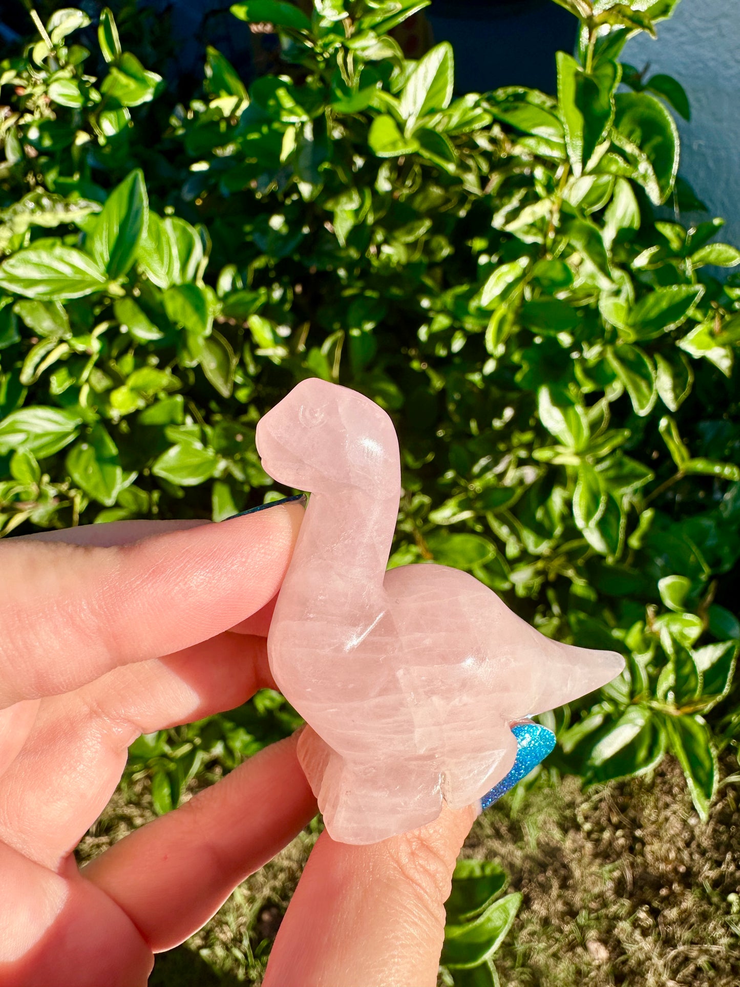 Rose Quartz - Dinosaur