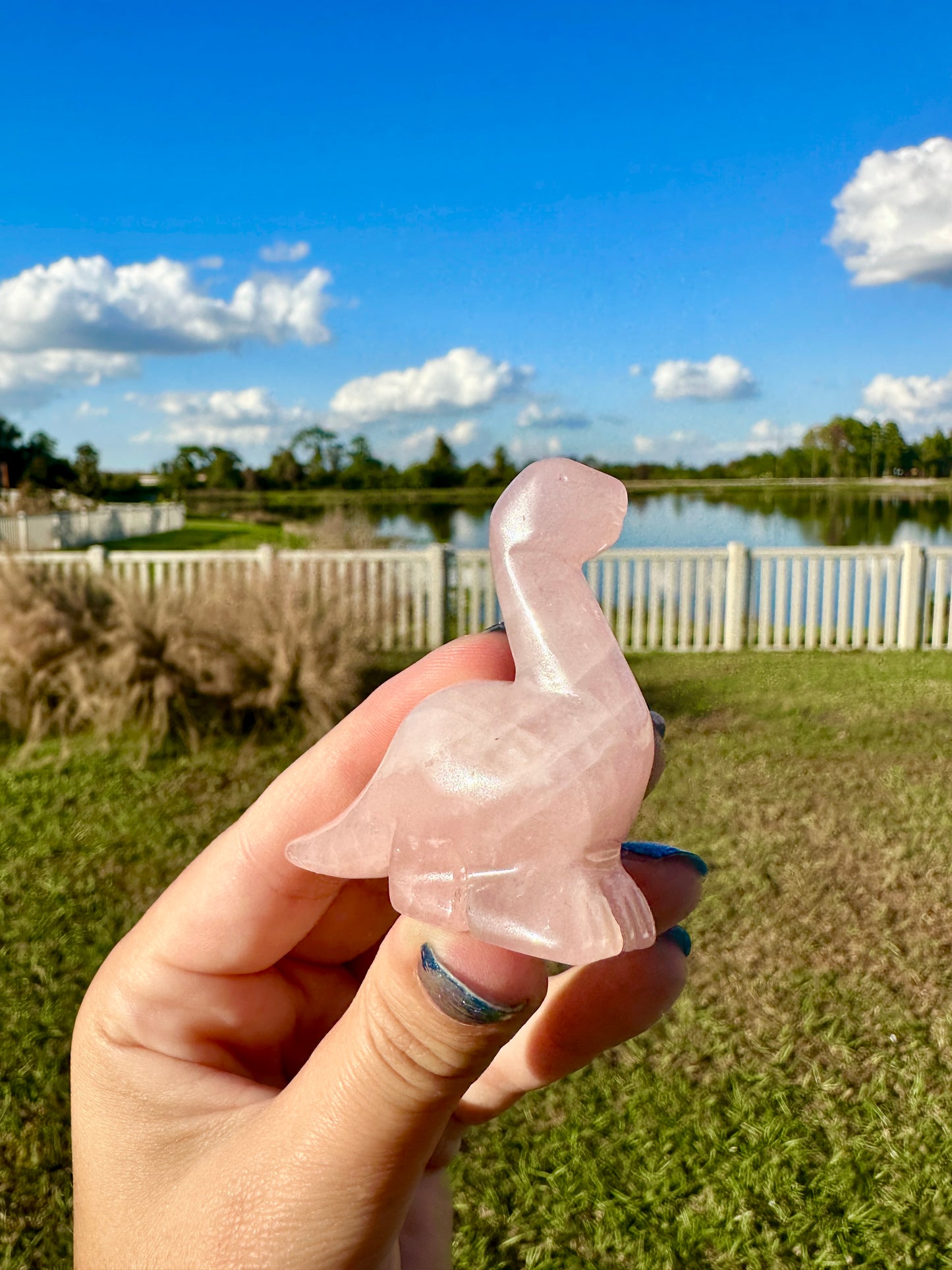Rose Quartz - Dinosaur
