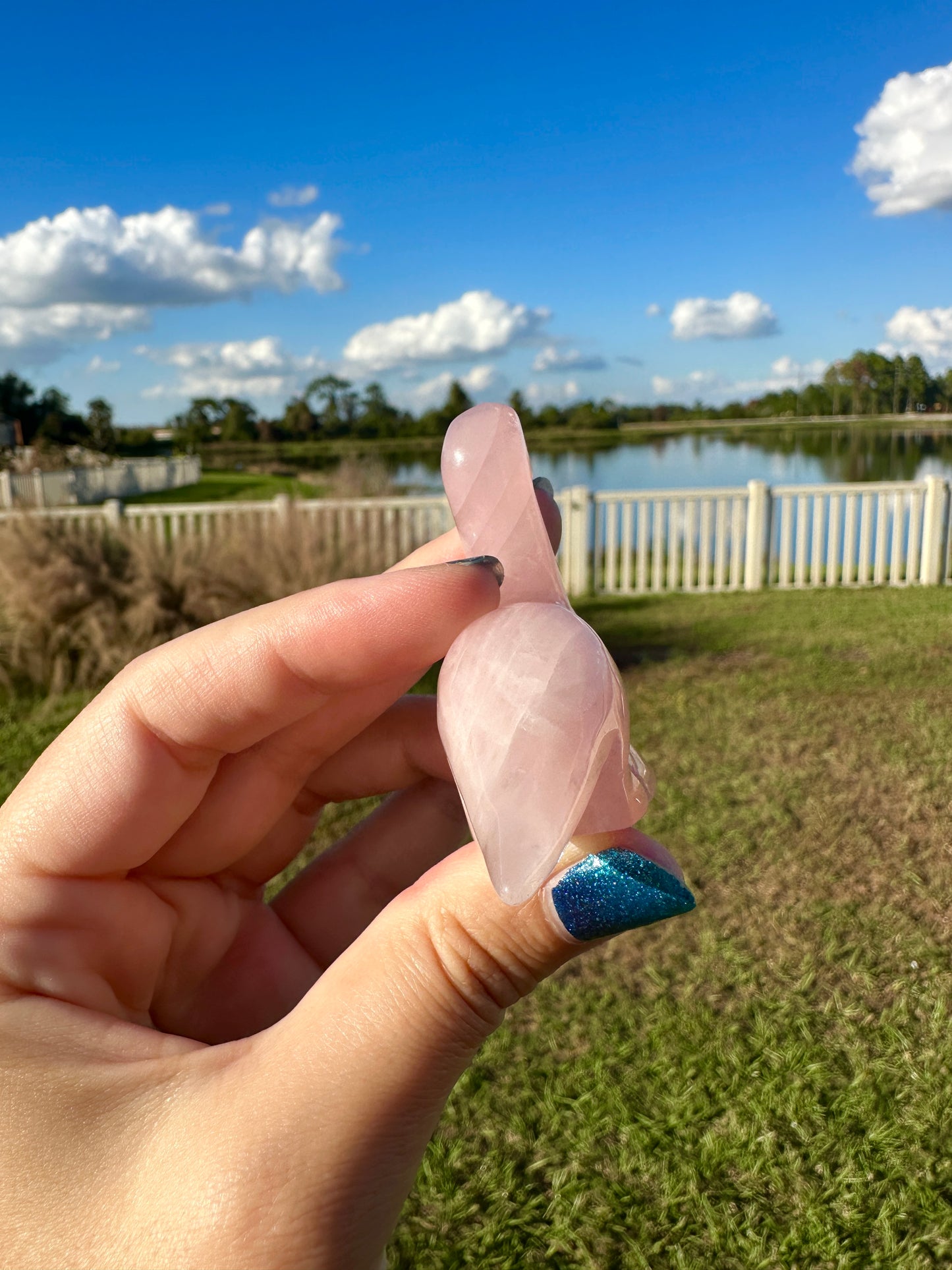 Rose Quartz - Dinosaur