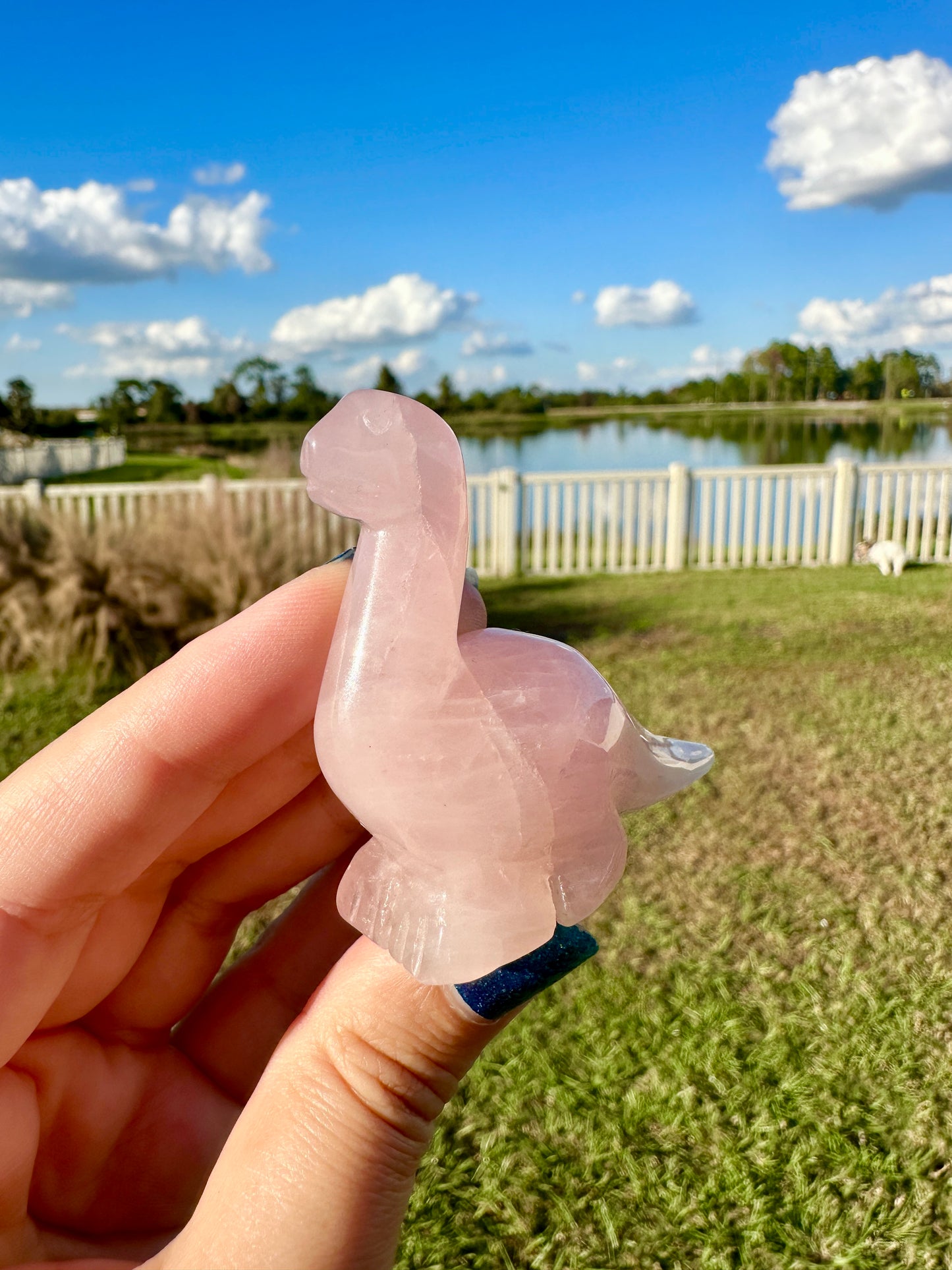 Rose Quartz - Dinosaur
