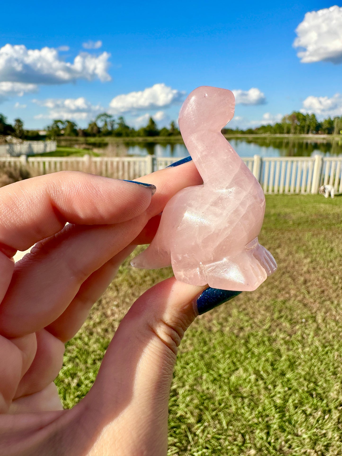 Rose Quartz - Dinosaur