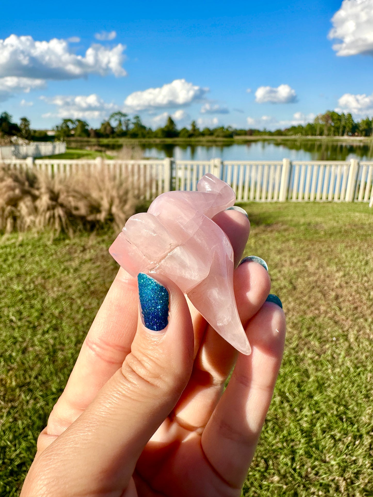 Rose Quartz - Dinosaur