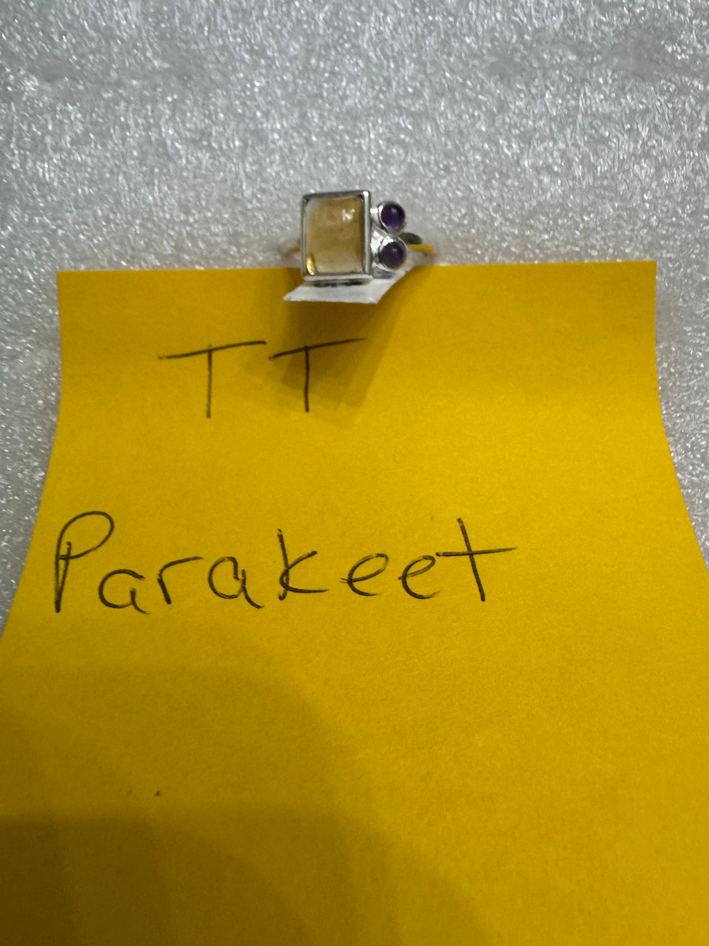 Parakeet1983