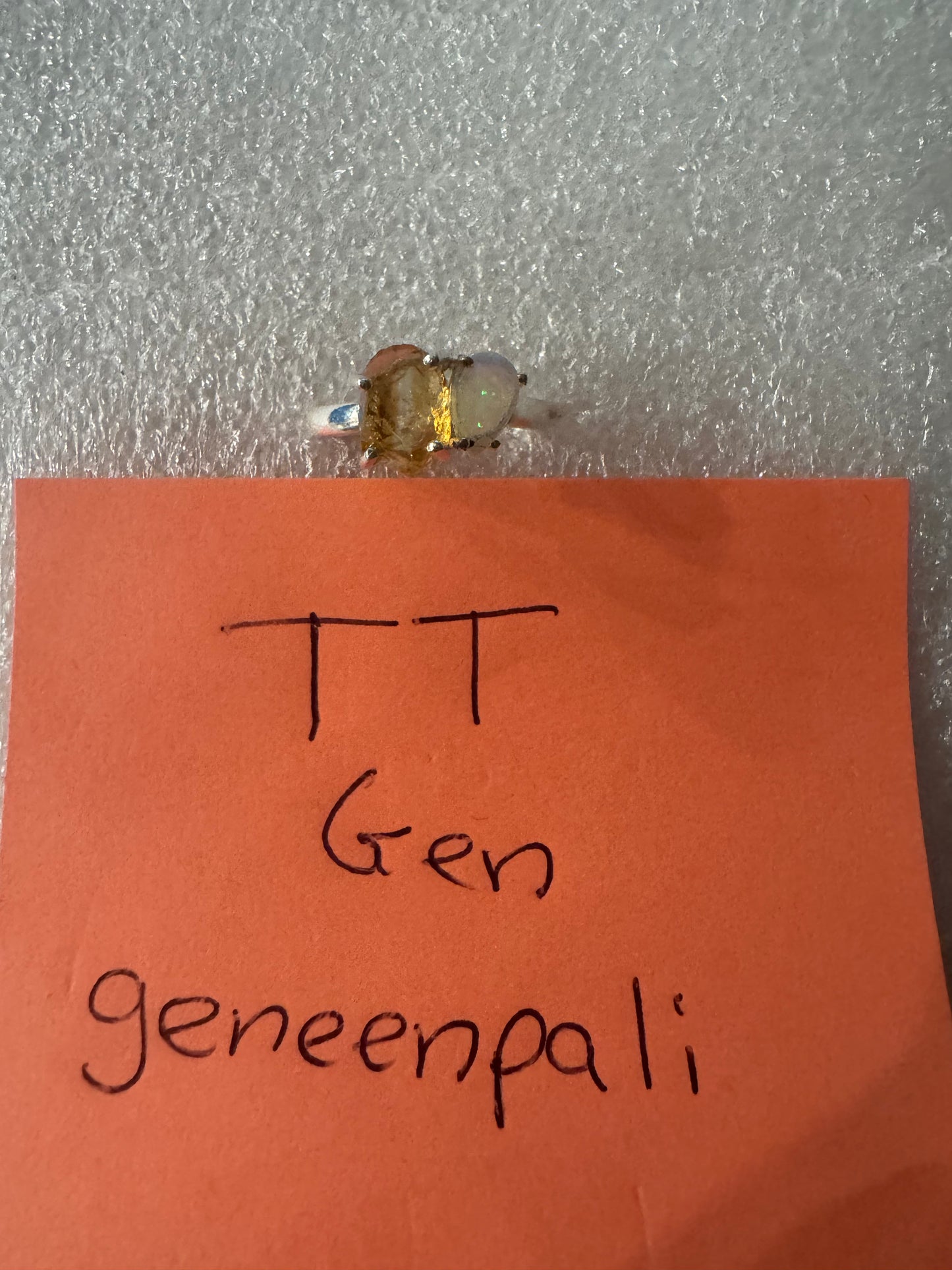 geneenpali