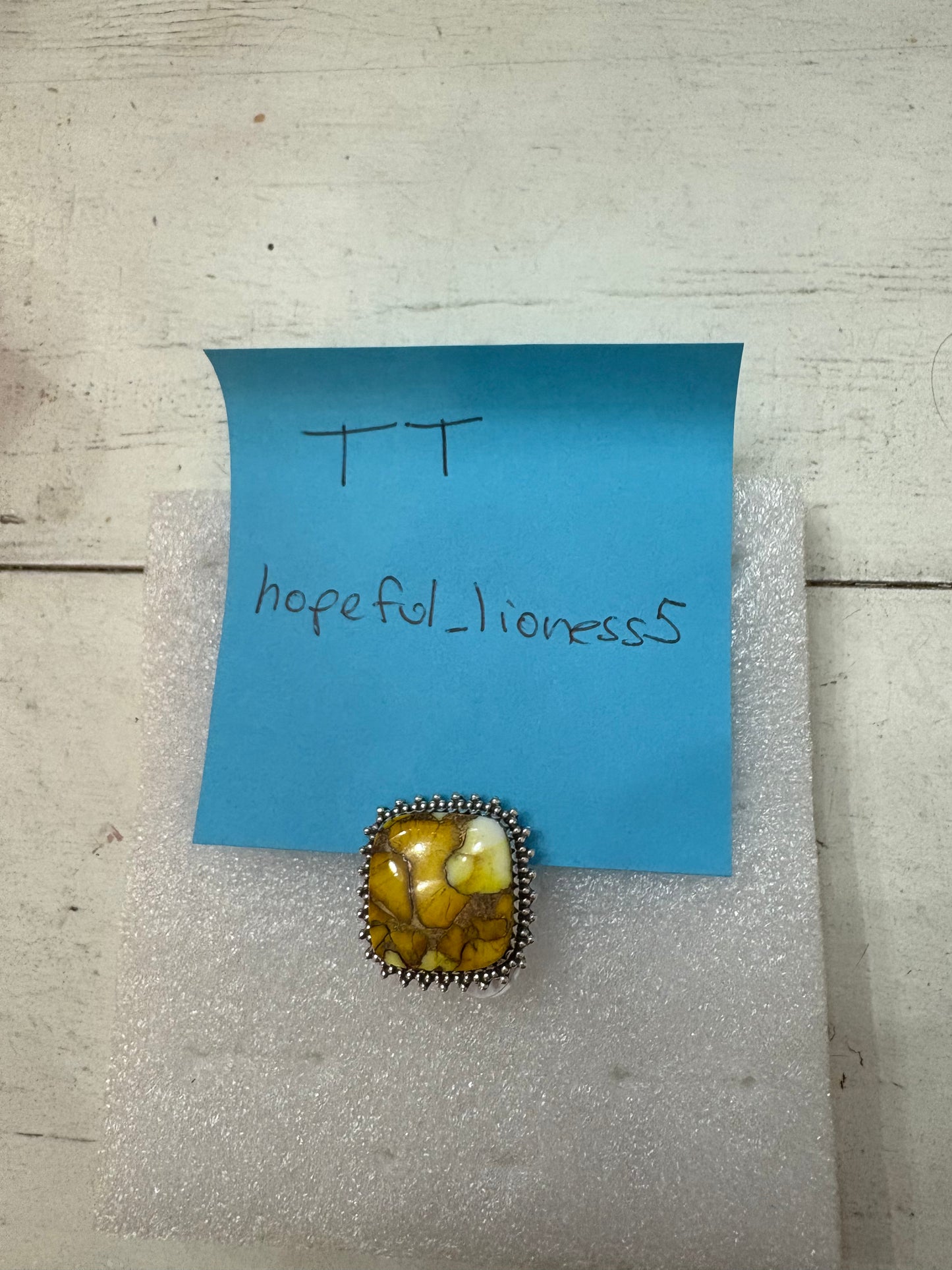 Hopeful-lioness5