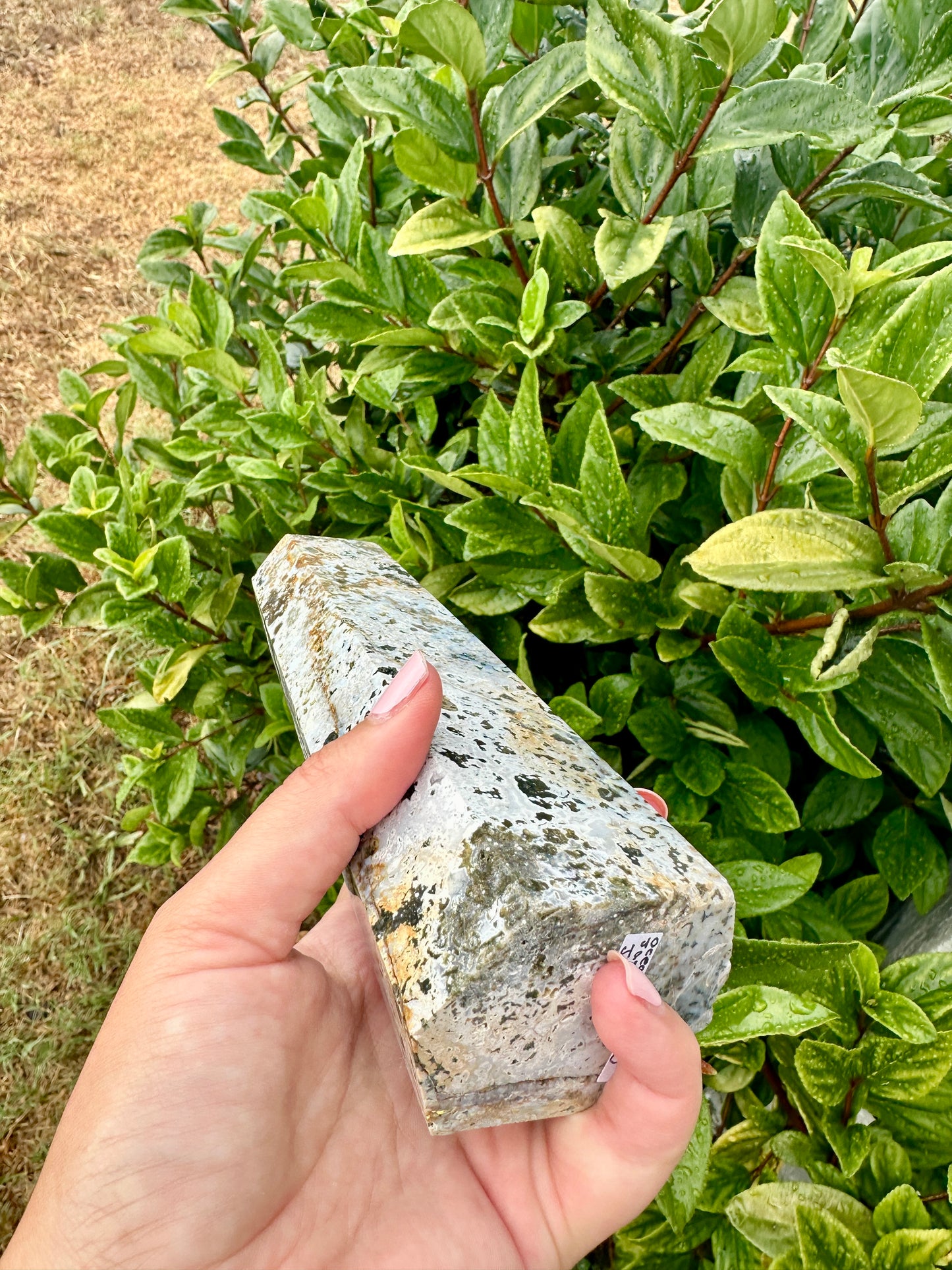 Stunning Ocean Jasper Tower β Natural Jasper Crystal Point β Healing Stone β Meditation Tool β Unique Home Decor β Chakra Balancing Tower