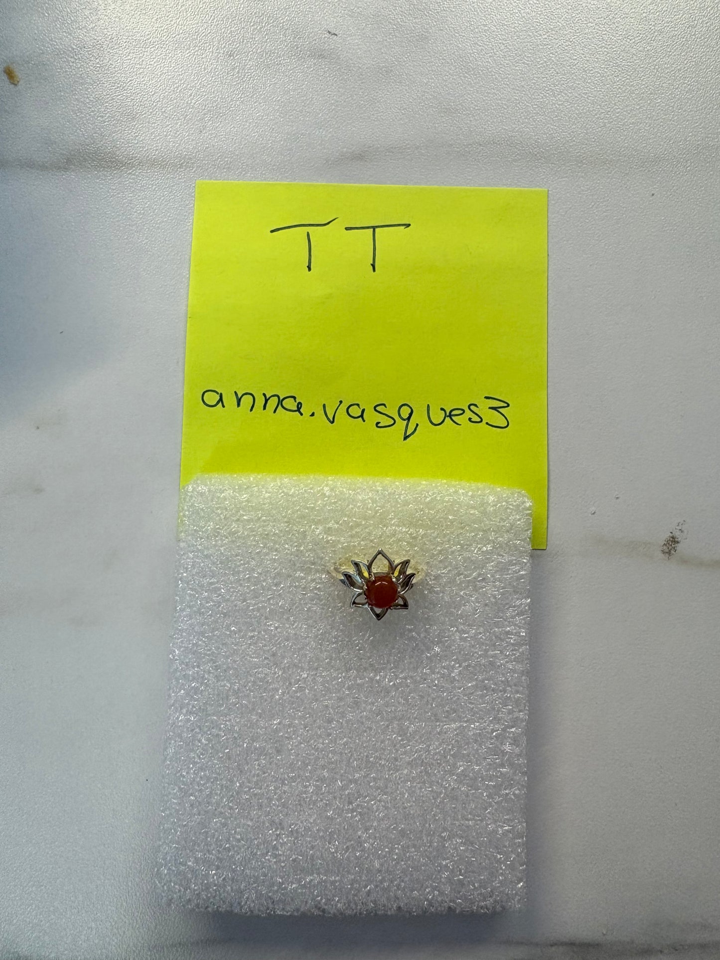 anna.vasques3