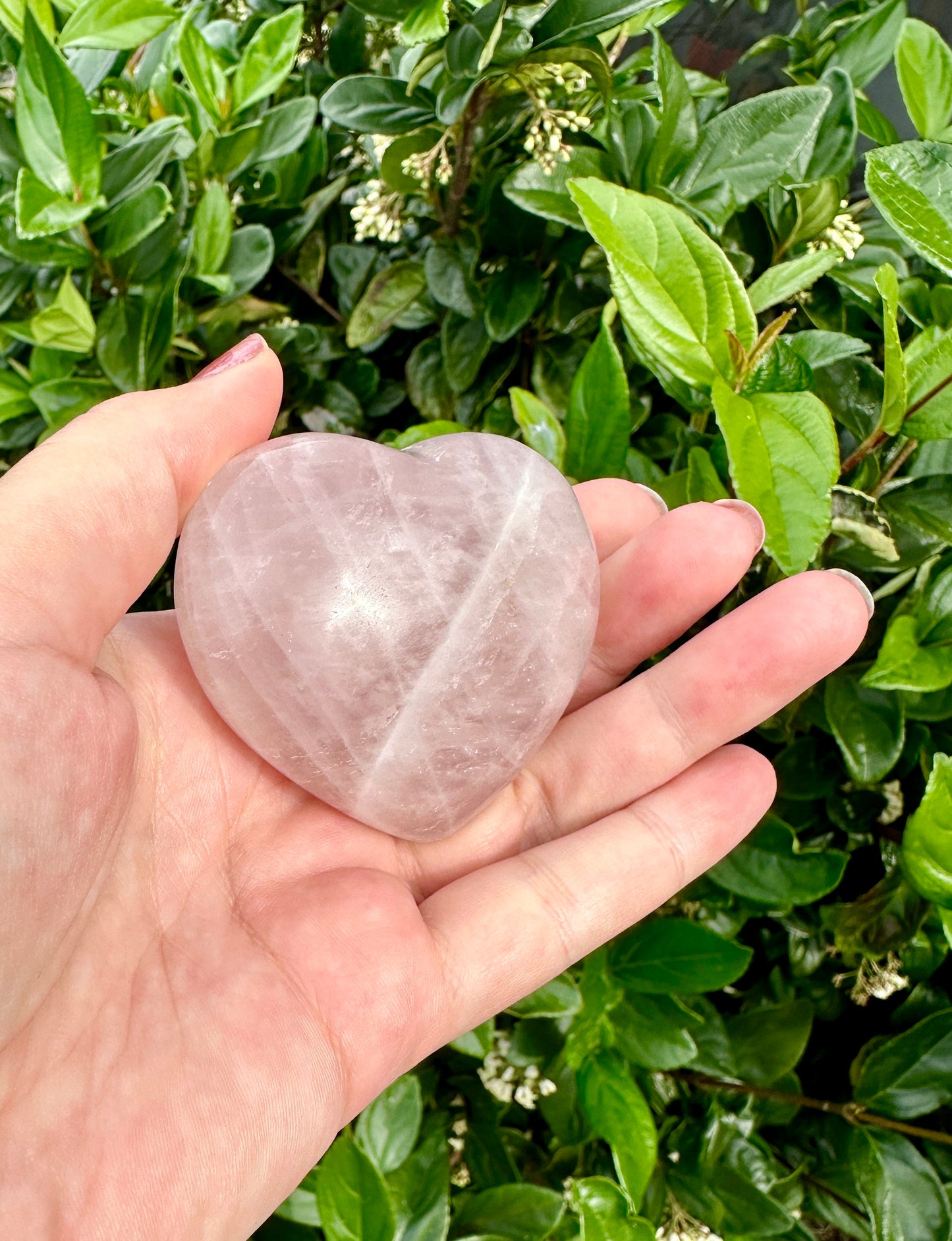 Exquisite Rose Quartz Heart Carving β Natural Healing Crystal for Love and Harmony β Unique Gift