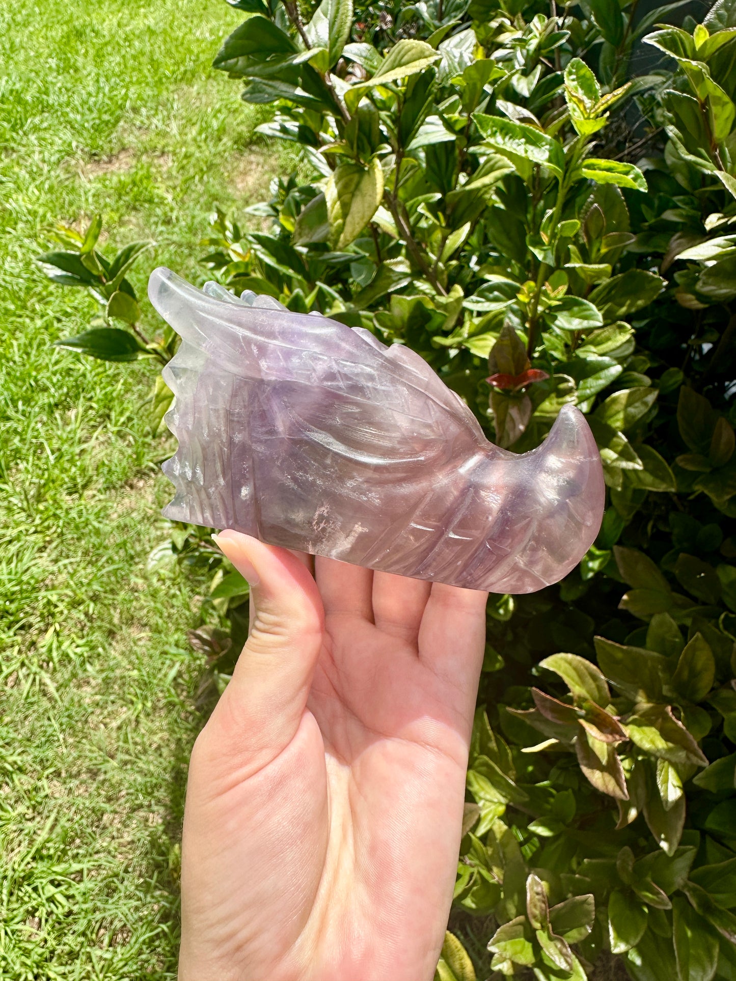 Fluorite Dragon Head β Unique Crystal Sculpture, Healing Stone, Home Decor, Feng Shui, Gift for Crystal Collectors