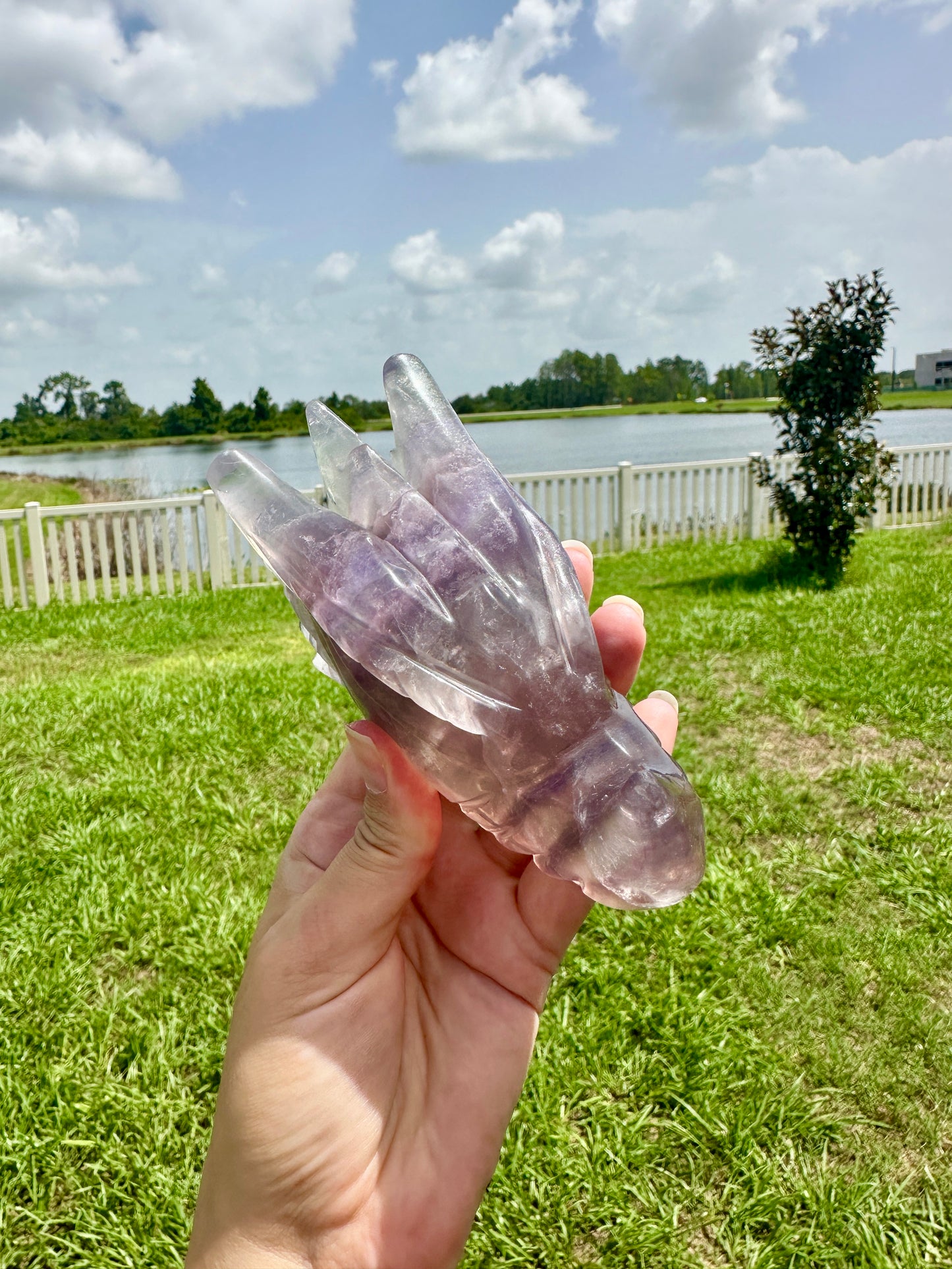 Fluorite Dragon Head β Unique Crystal Sculpture, Healing Stone, Home Decor, Feng Shui, Gift for Crystal Collectors
