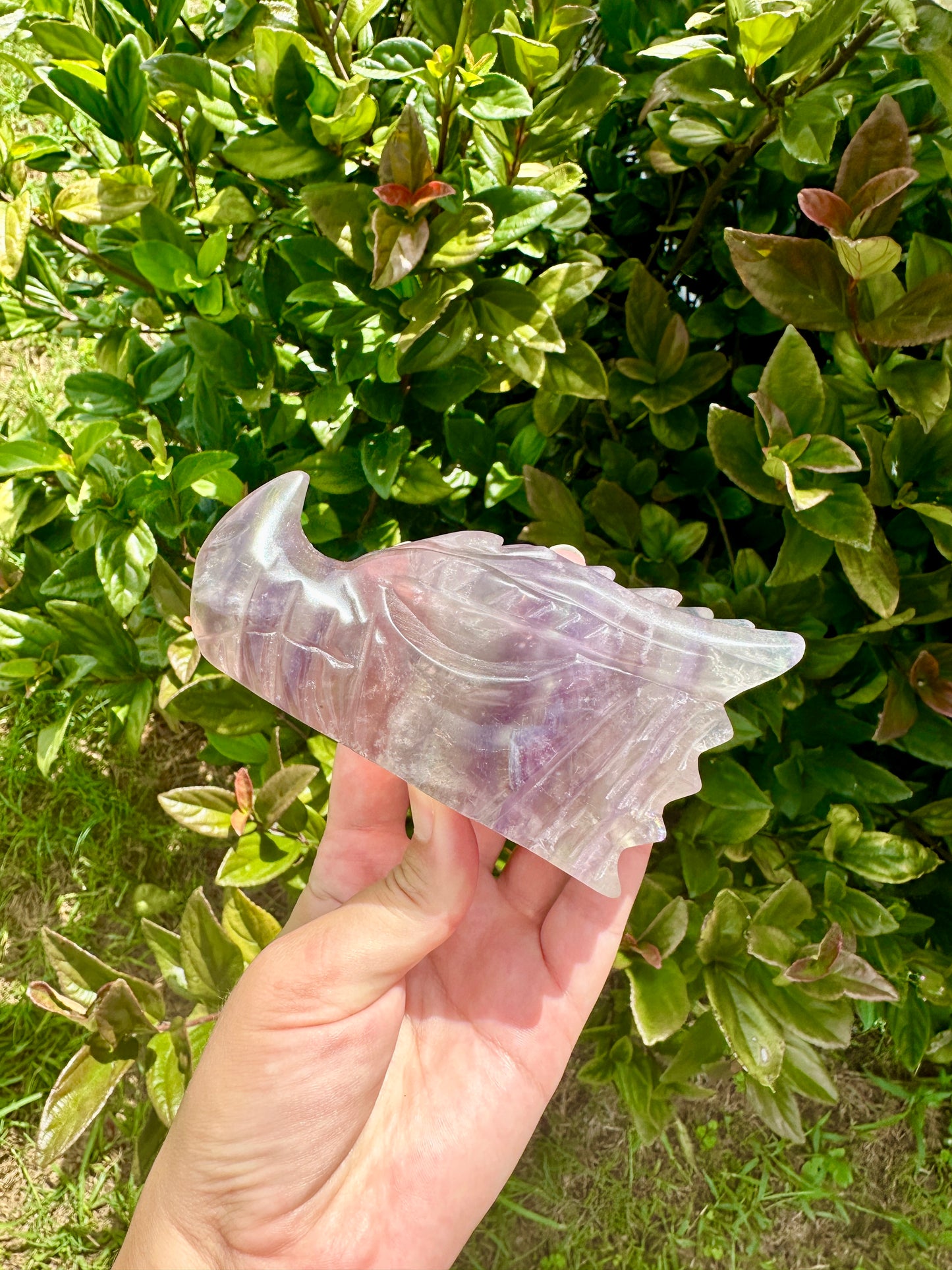 Fluorite Dragon Head β Unique Crystal Sculpture, Healing Stone, Home Decor, Feng Shui, Gift for Crystal Collectors