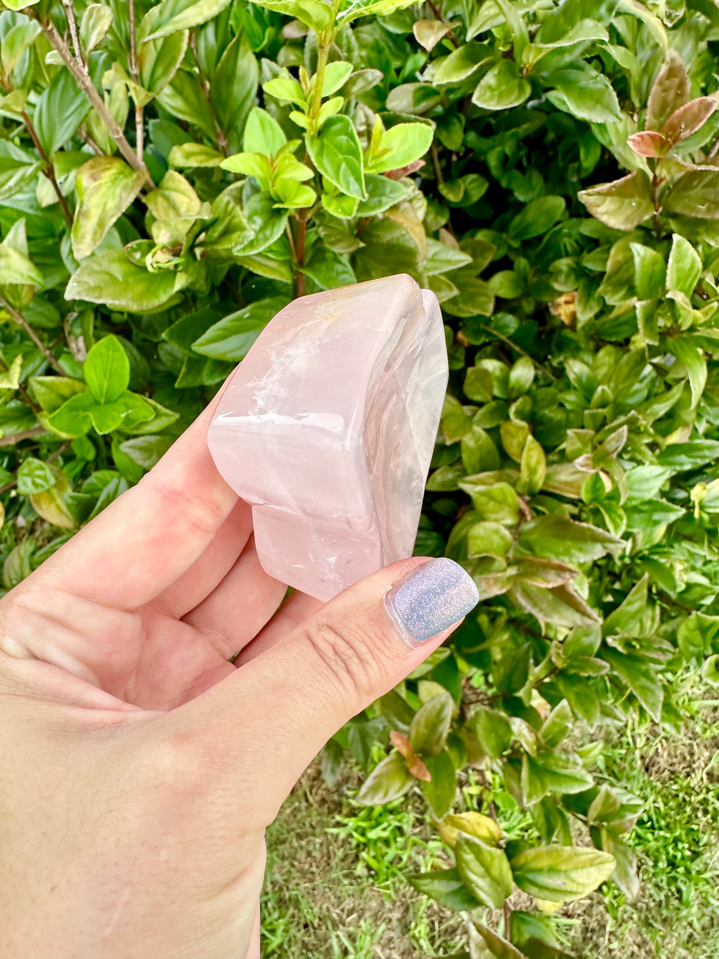Rose Quartz Butterfly Bowl - Natural Crystal Decor - Unique Healing Stone Bowl - Elegant Boho Style Home Decor