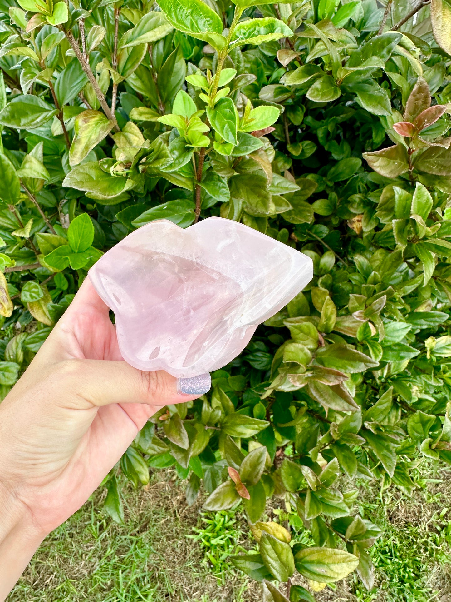 Rose Quartz Butterfly Bowl - Natural Crystal Decor - Unique Healing Stone Bowl - Elegant Boho Style Home Decor
